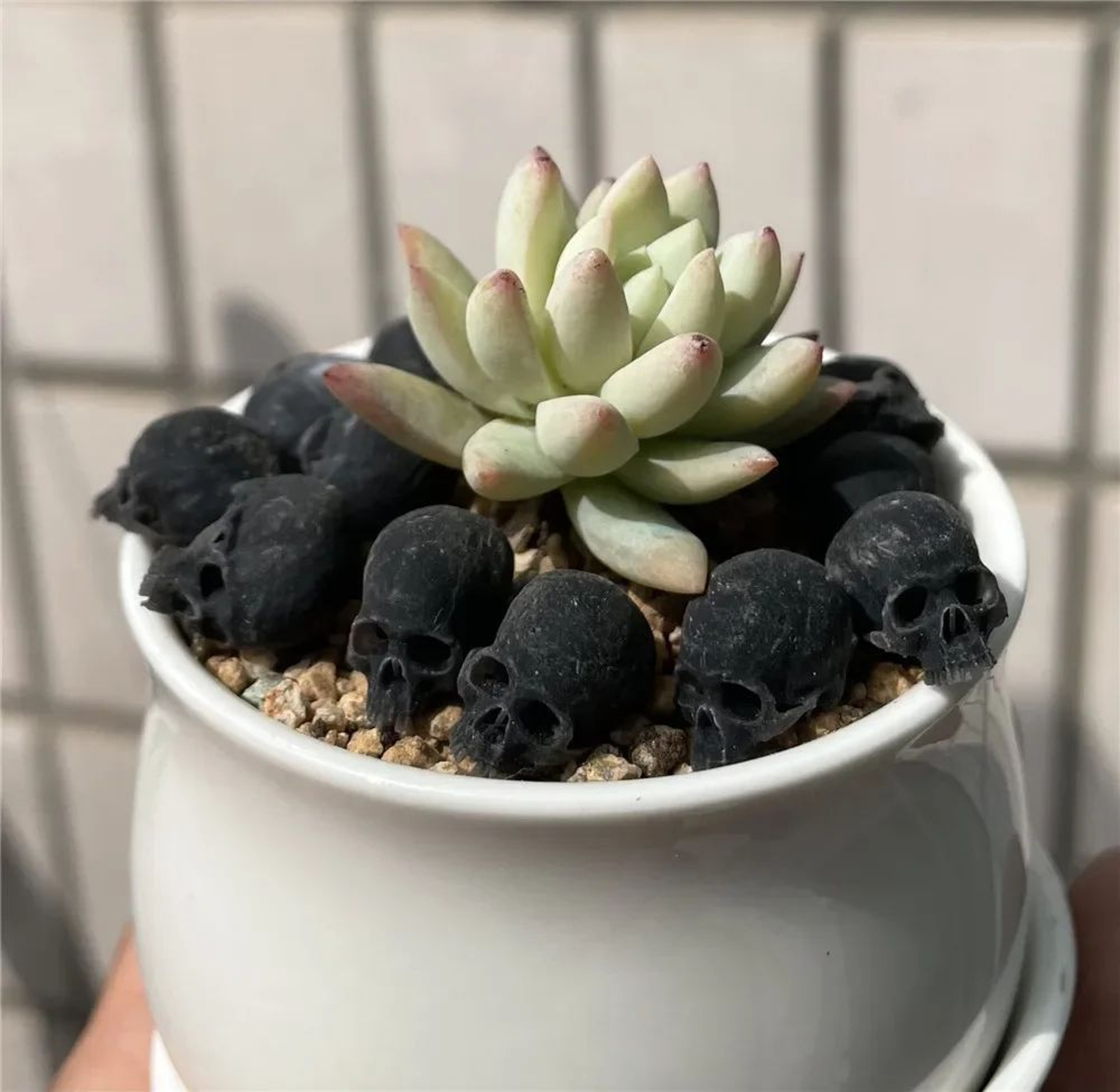 Mini Skull Decorative Figurine 6