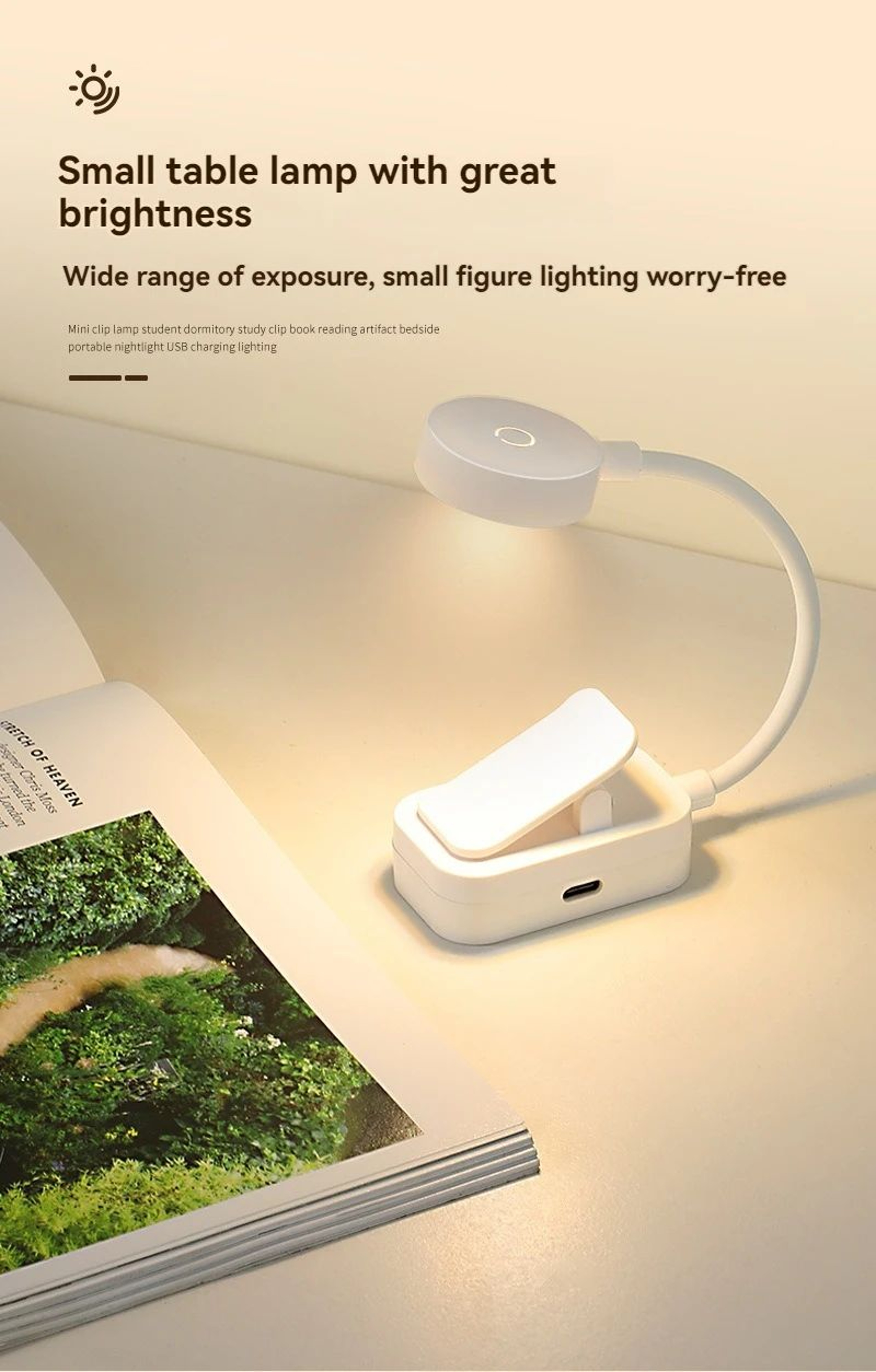 Mini USB Rechargeable ClipOn LED Reading Lamp 8