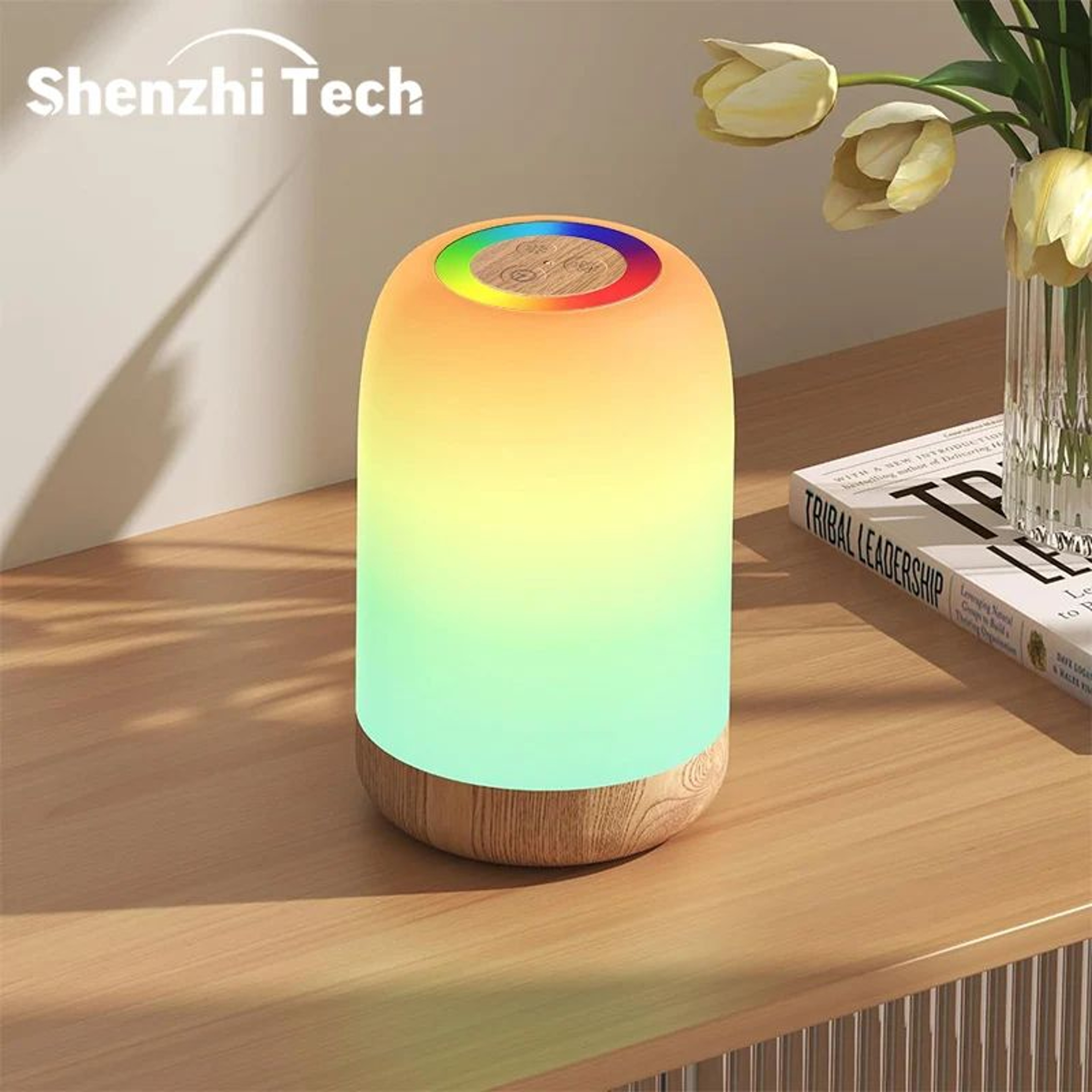 LED Touch RGB Dimmable Wood Grain Rechargeable Night Lamp 0