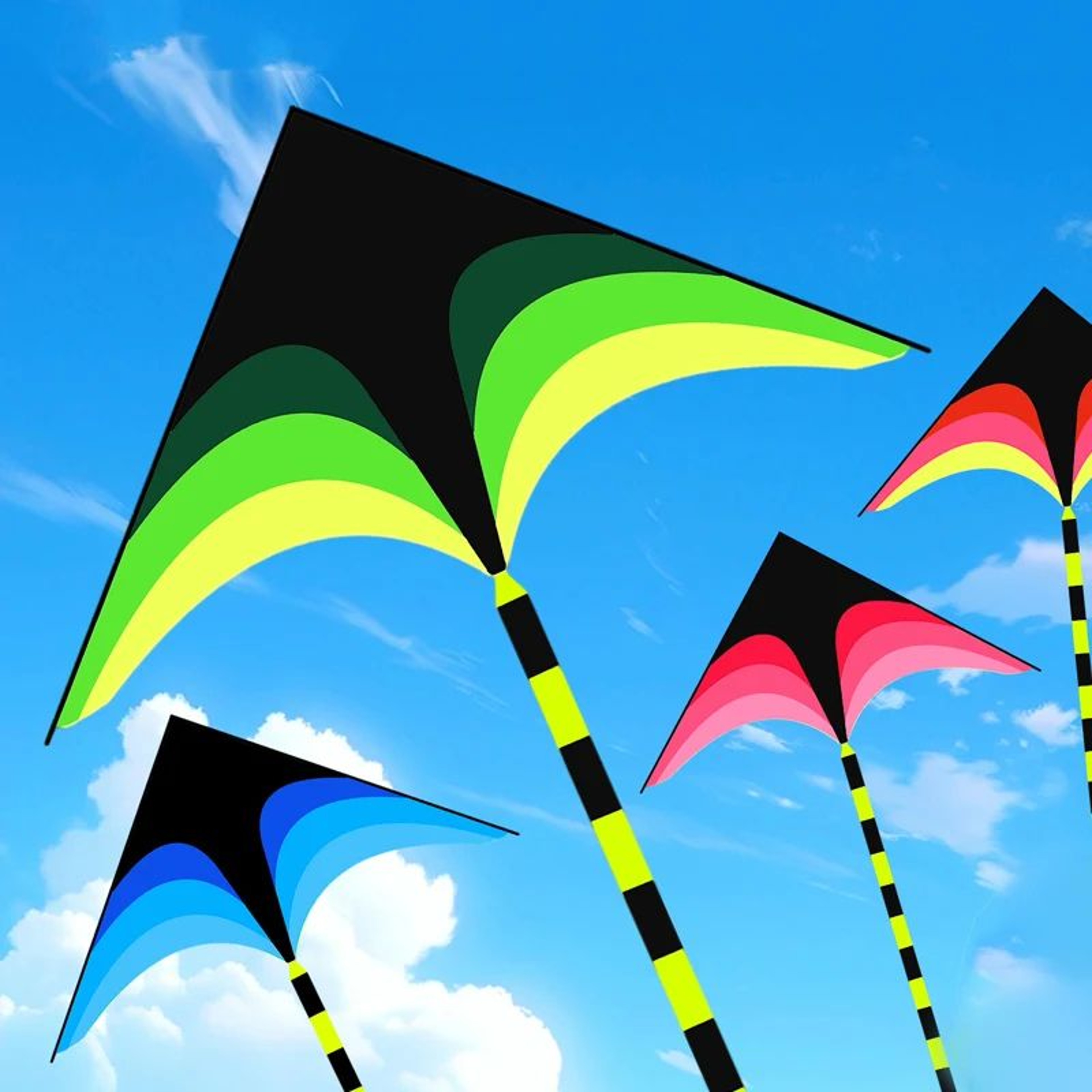 Large Delta Kite With 5m Tail Easy To Fly Outdoor Kite For Kids And Adults 1