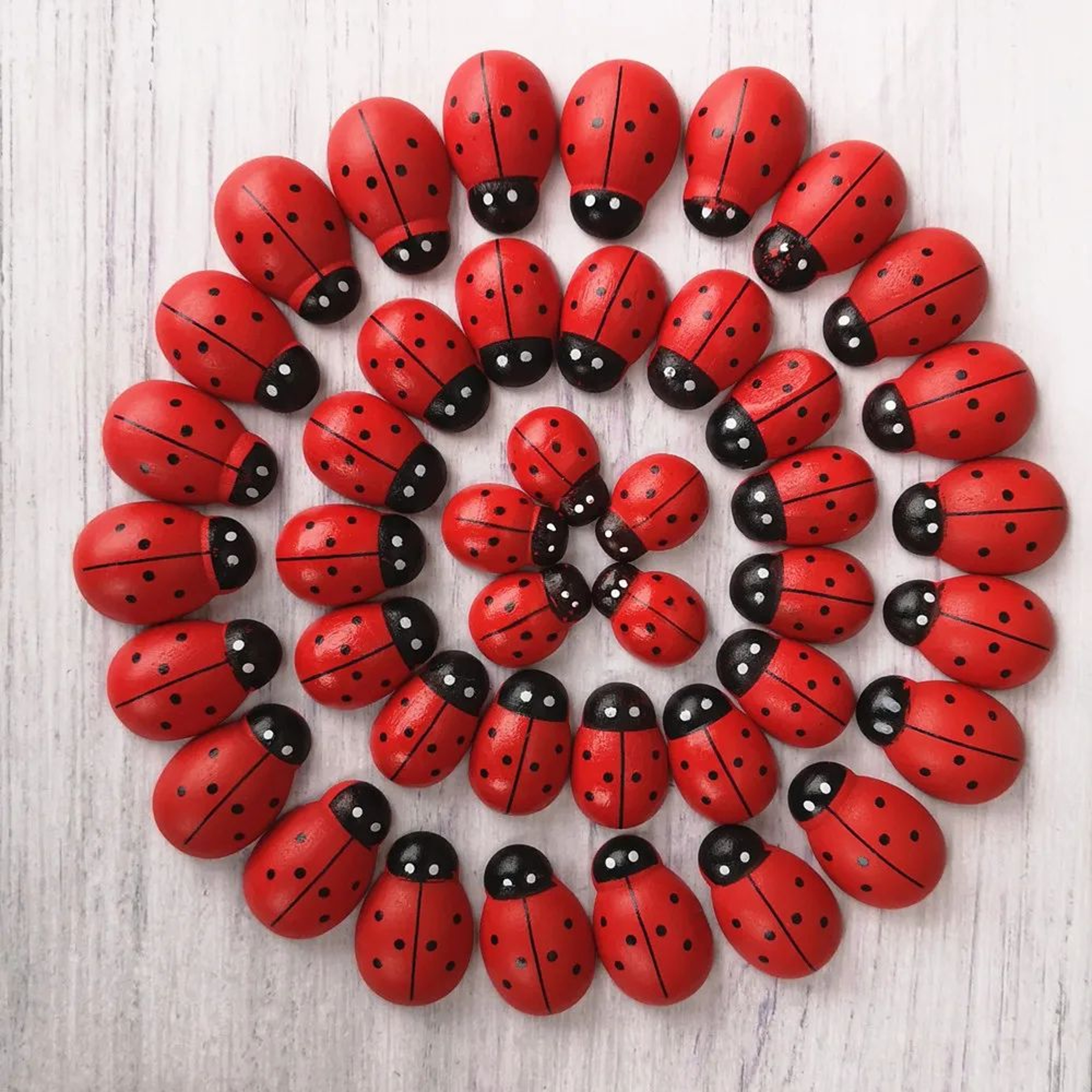 Wooden Ladybug Miniature For Fairy Garden Decor 1