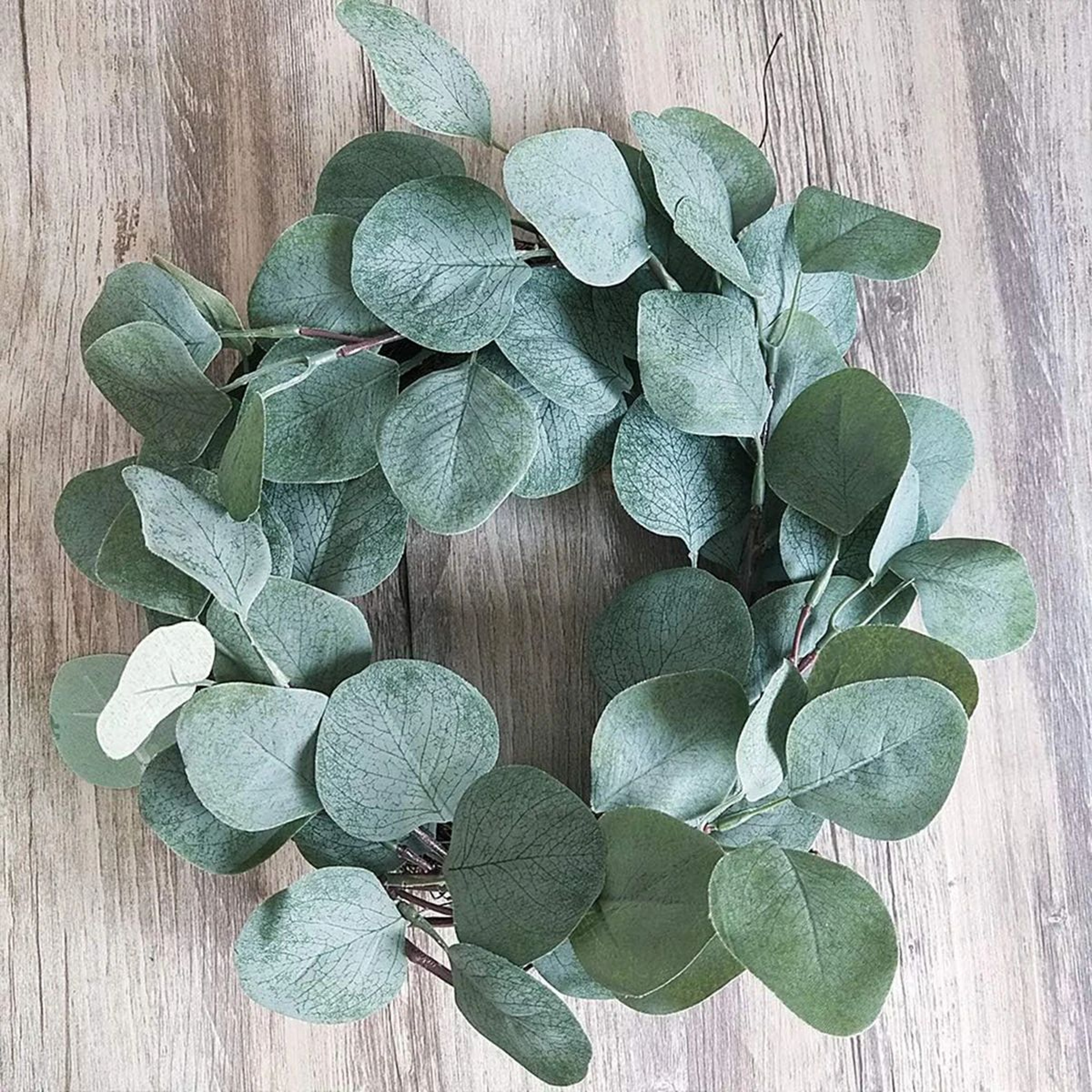 Artificial Eucalyptus Silk Leaves Set 2