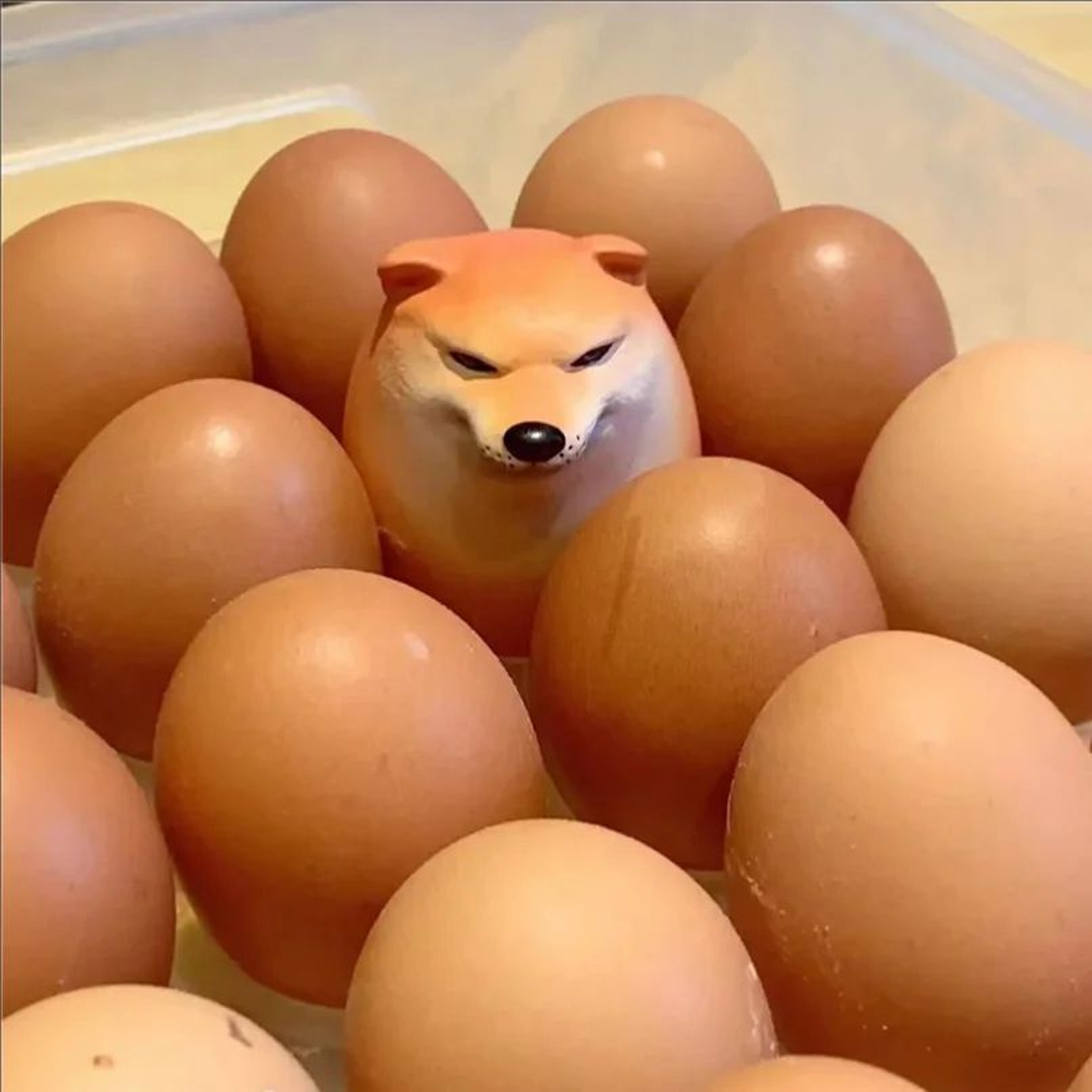 Shiba Inu Egg Desk Decor 0