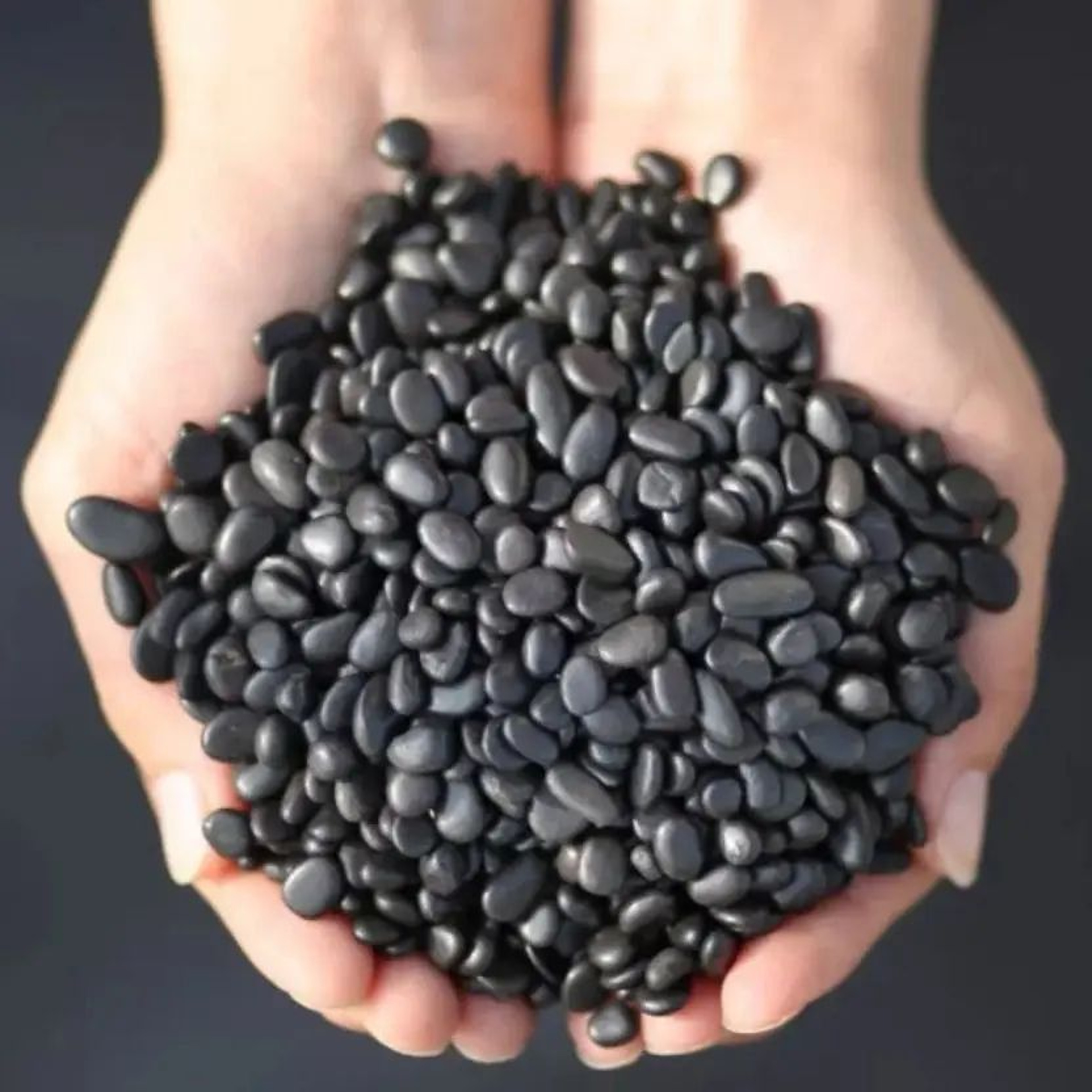 Natural Shungite Gravel Healing Crystal Stones 100g 0