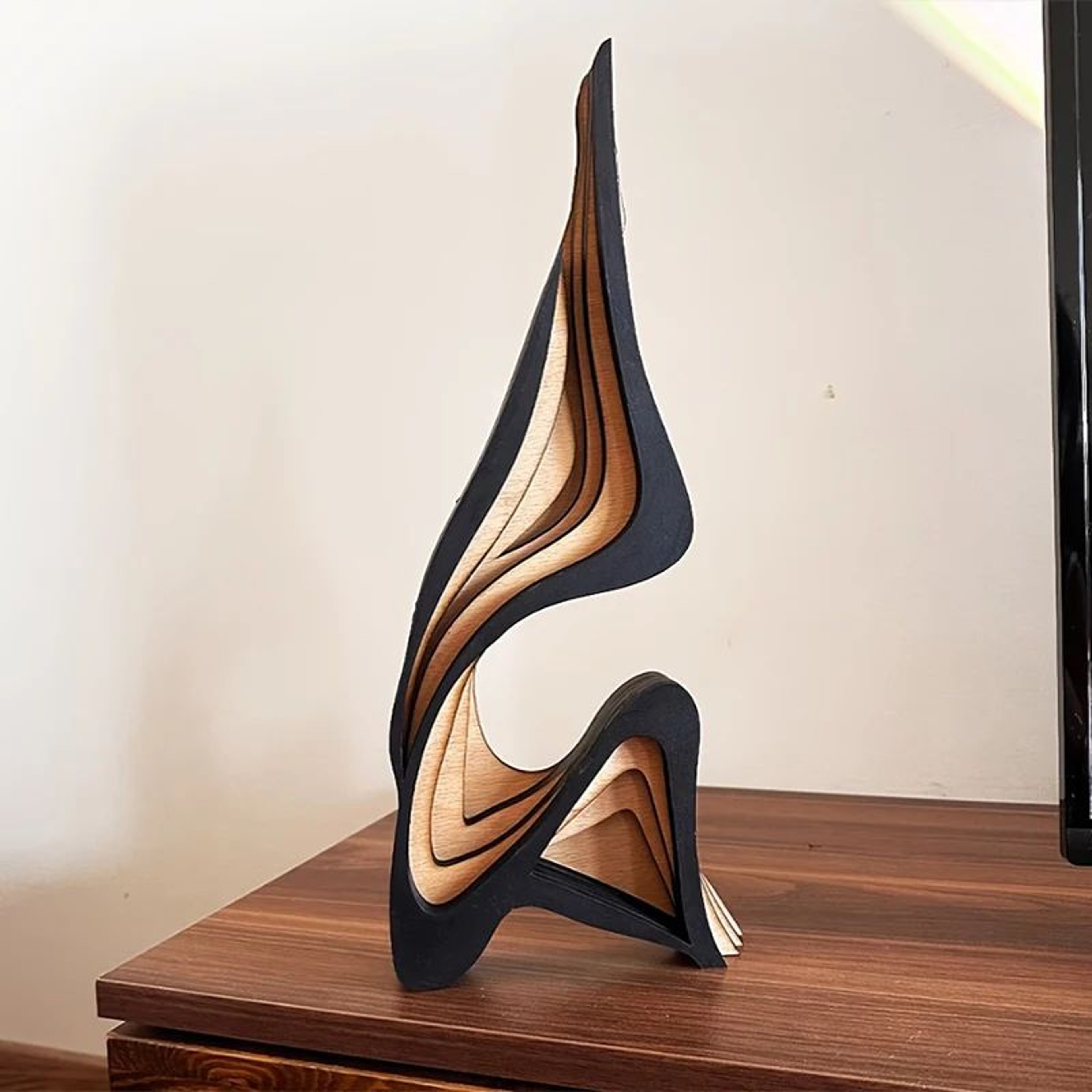 Abstract Wooden Curved Art Sculpture Decor 0