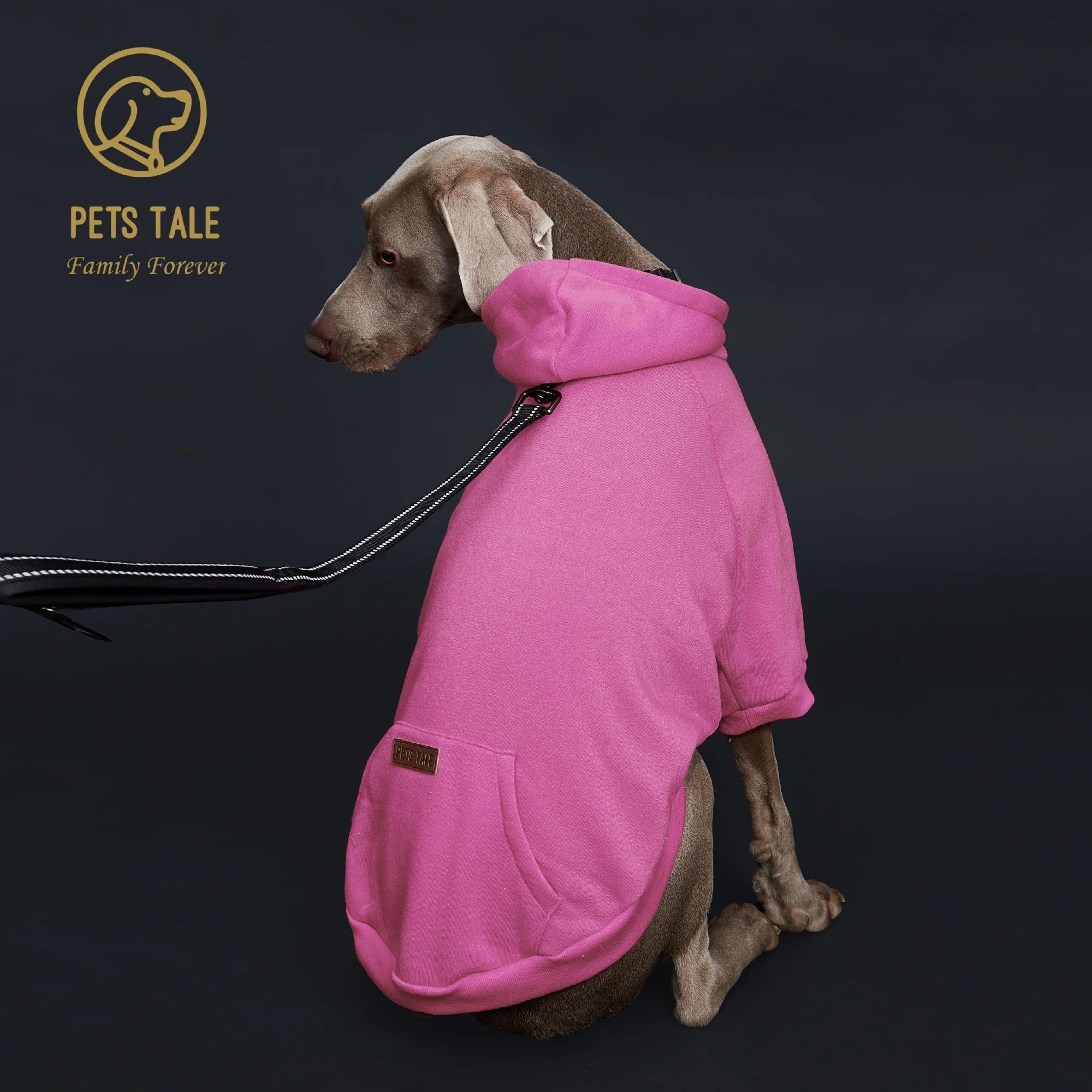Solid Color Dog Hoodie With Pocket 2