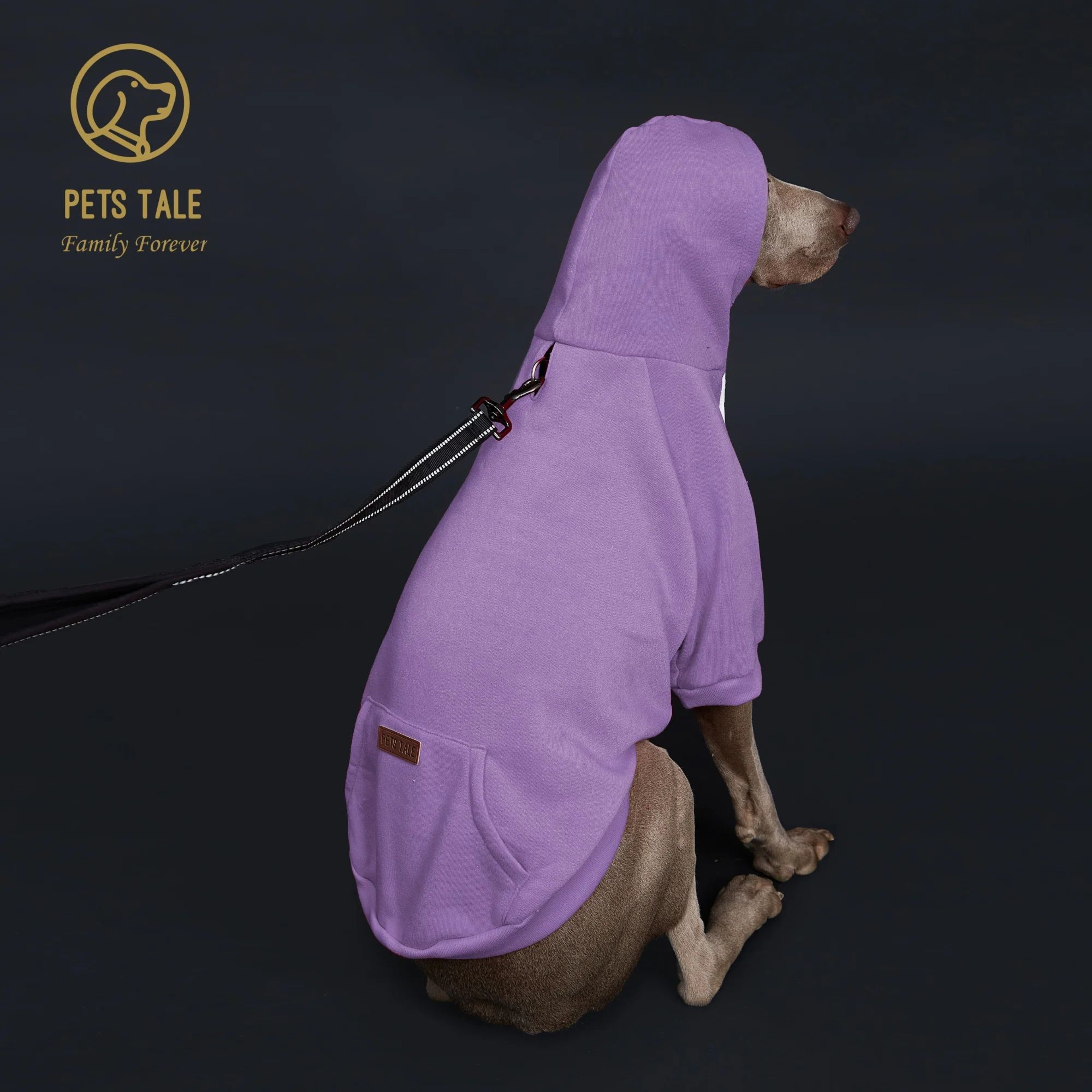 Solid Color Dog Hoodie With Pocket 3