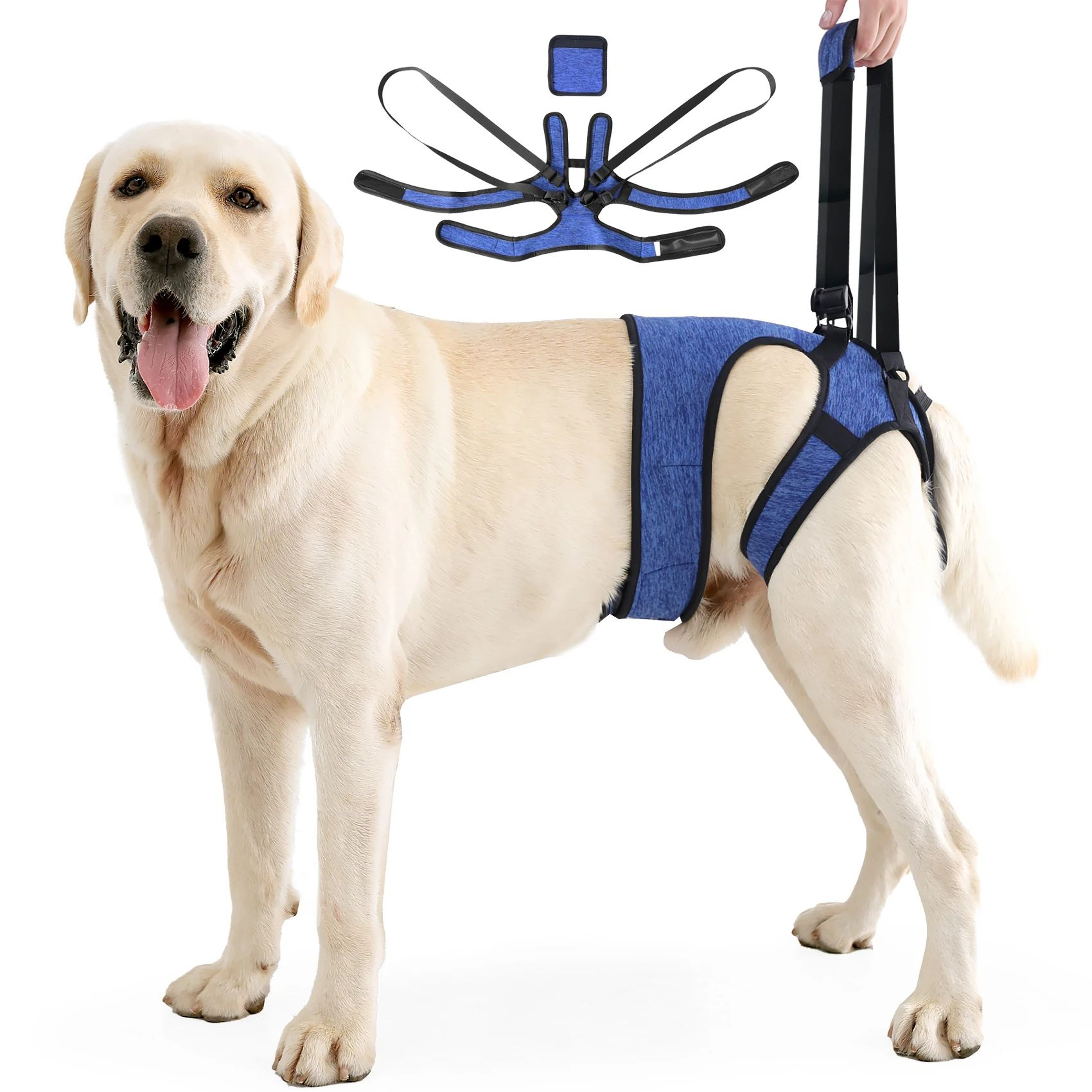 Adjustable Dog Lift Harness For Hind Leg Support 7