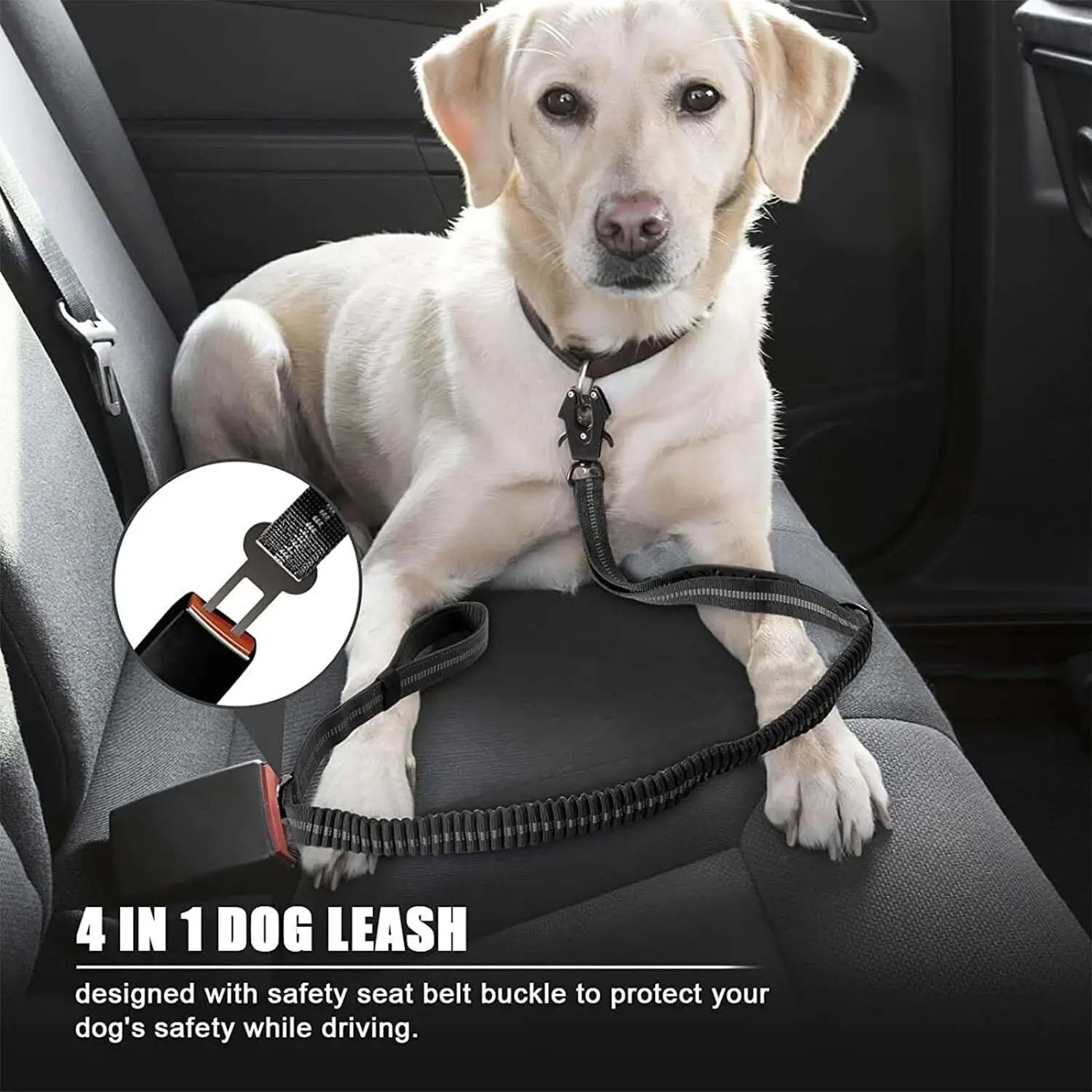 Heavy Duty Reflective Bungee Dog Leash With Seatbelt 2