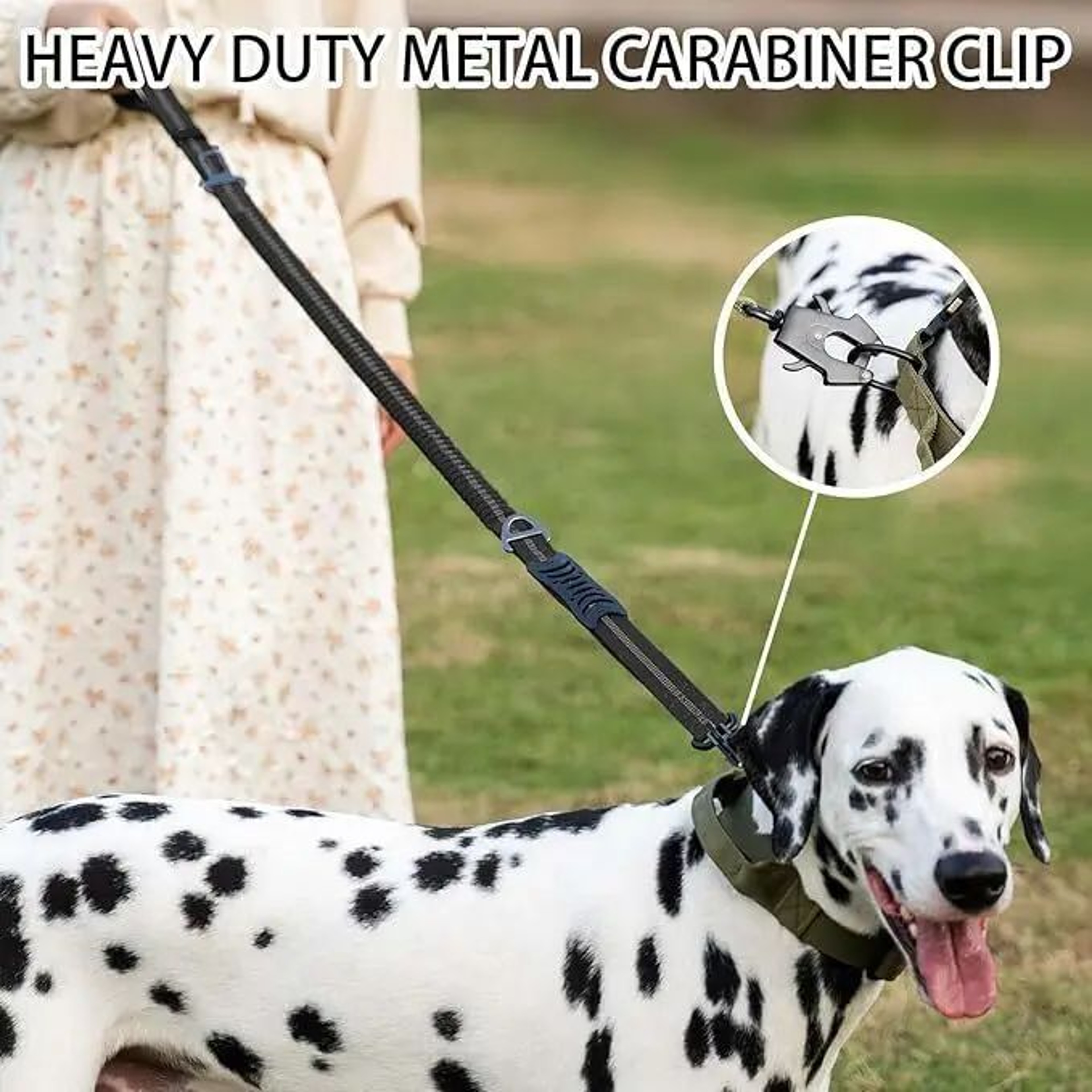 Heavy Duty Reflective Bungee Dog Leash With Seatbelt 3