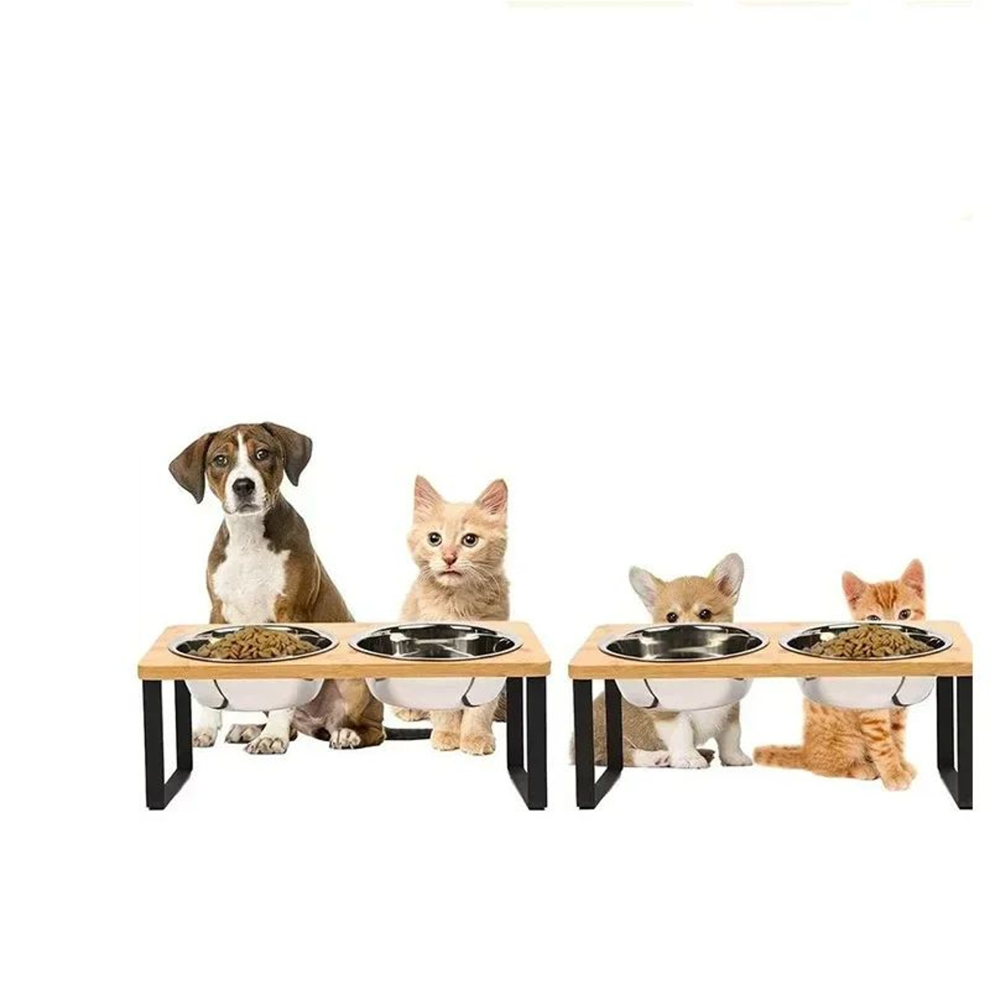 Elevated Tilted Pet Bowl Stand With Stainless Steel Bowls 2