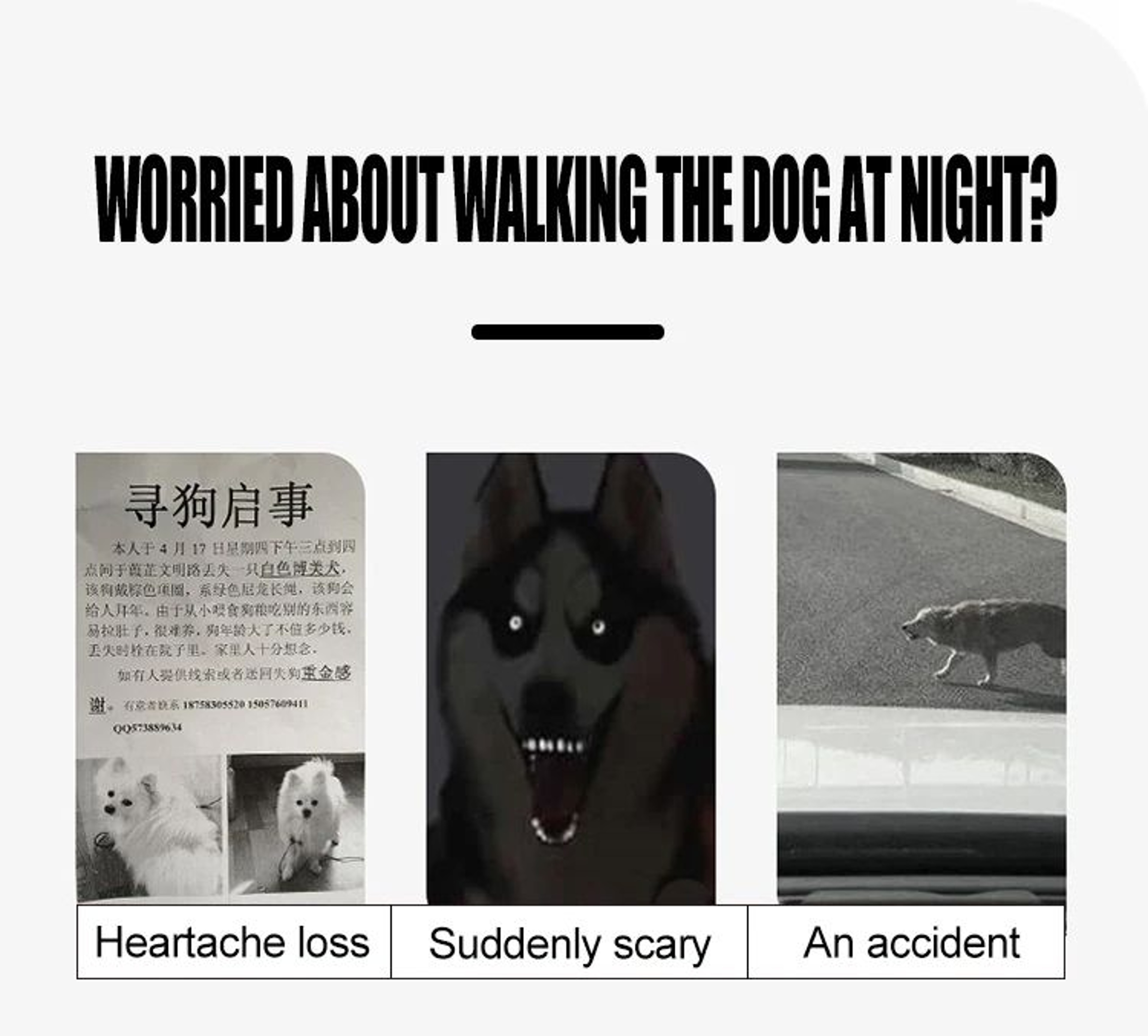LED Glowing Dog Safety Collar 4
