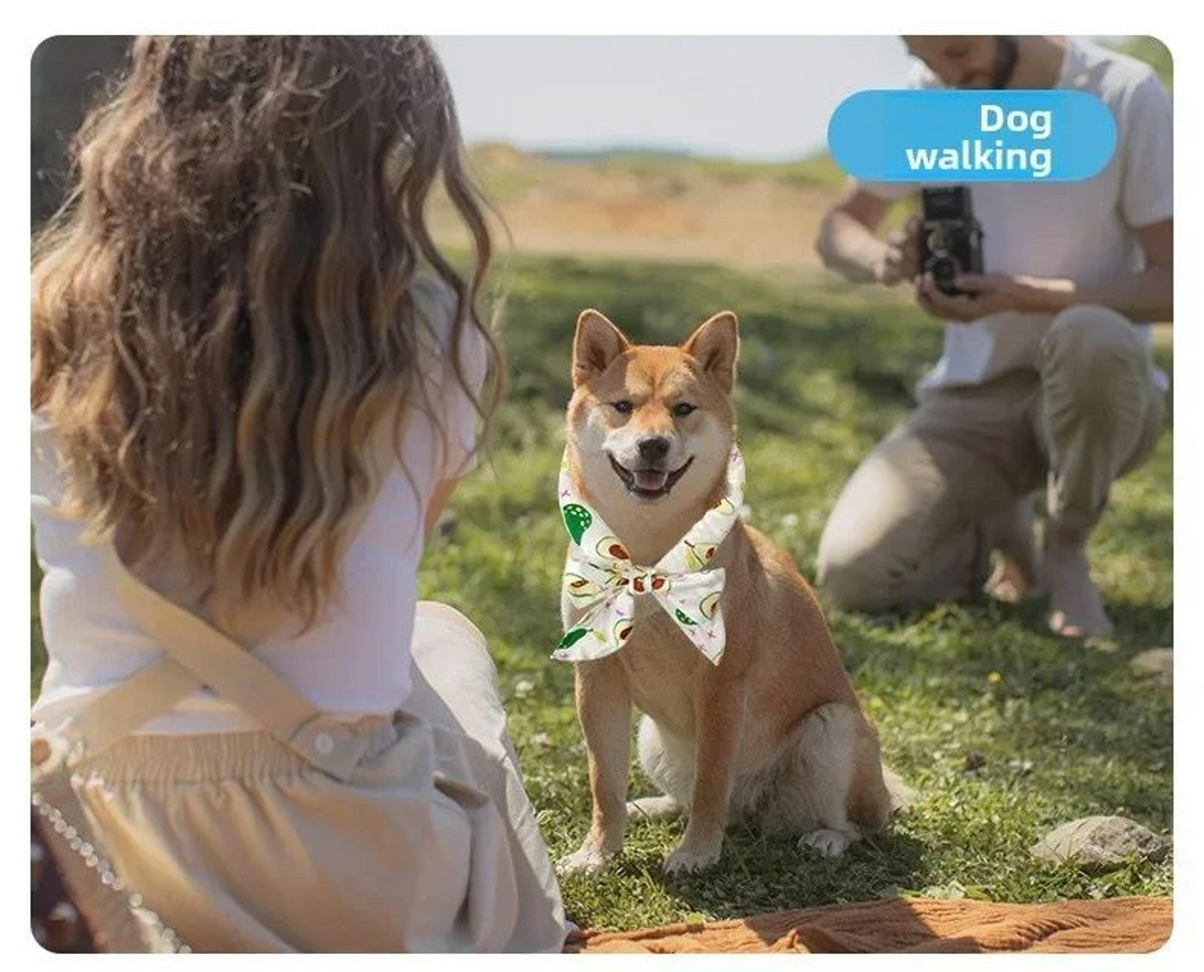 Summer Pet Cooling Scarf Ice Collar 9