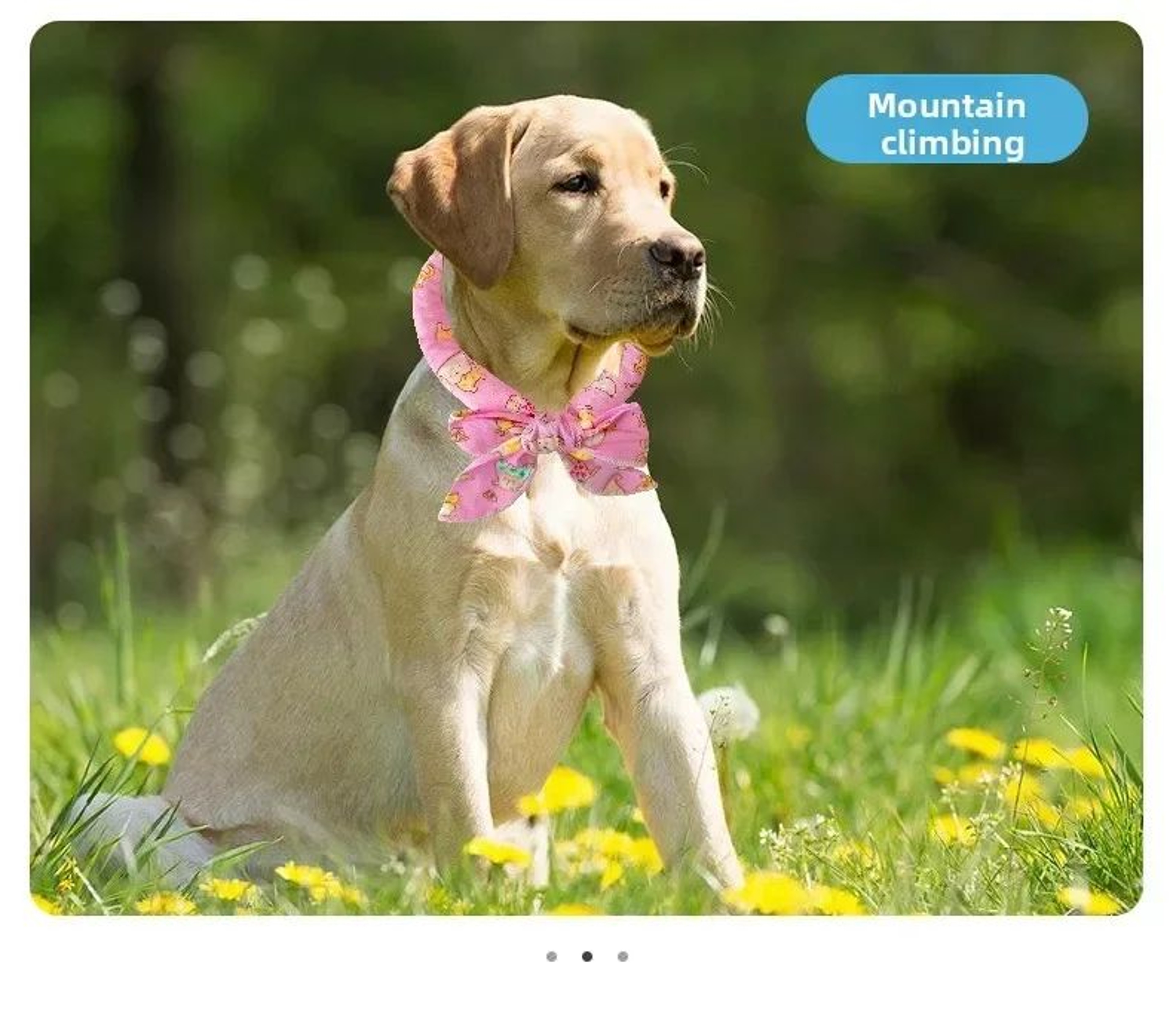 Summer Pet Cooling Scarf Ice Collar 11