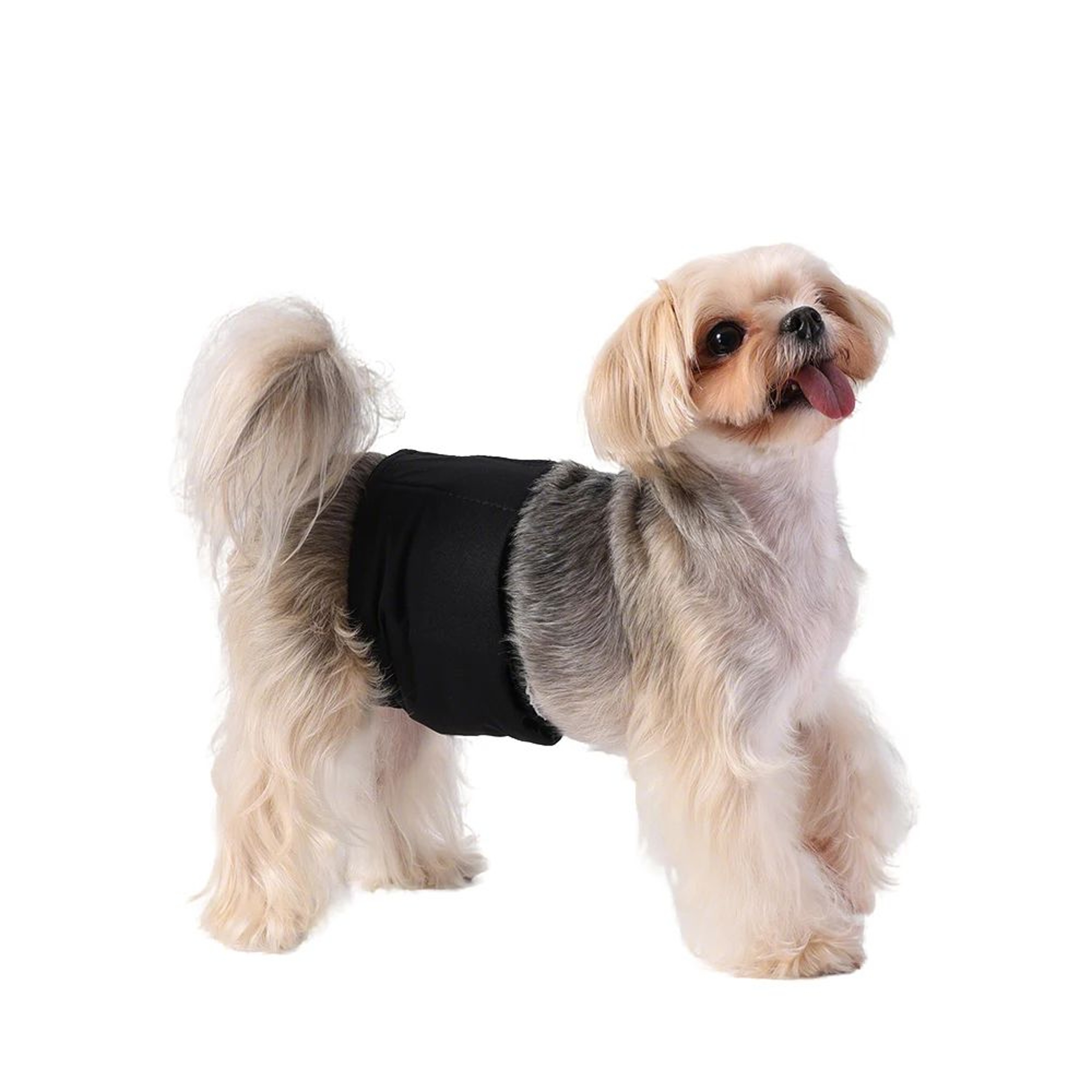 Reusable Washable Belly Band Diapers For Male Dogs 4
