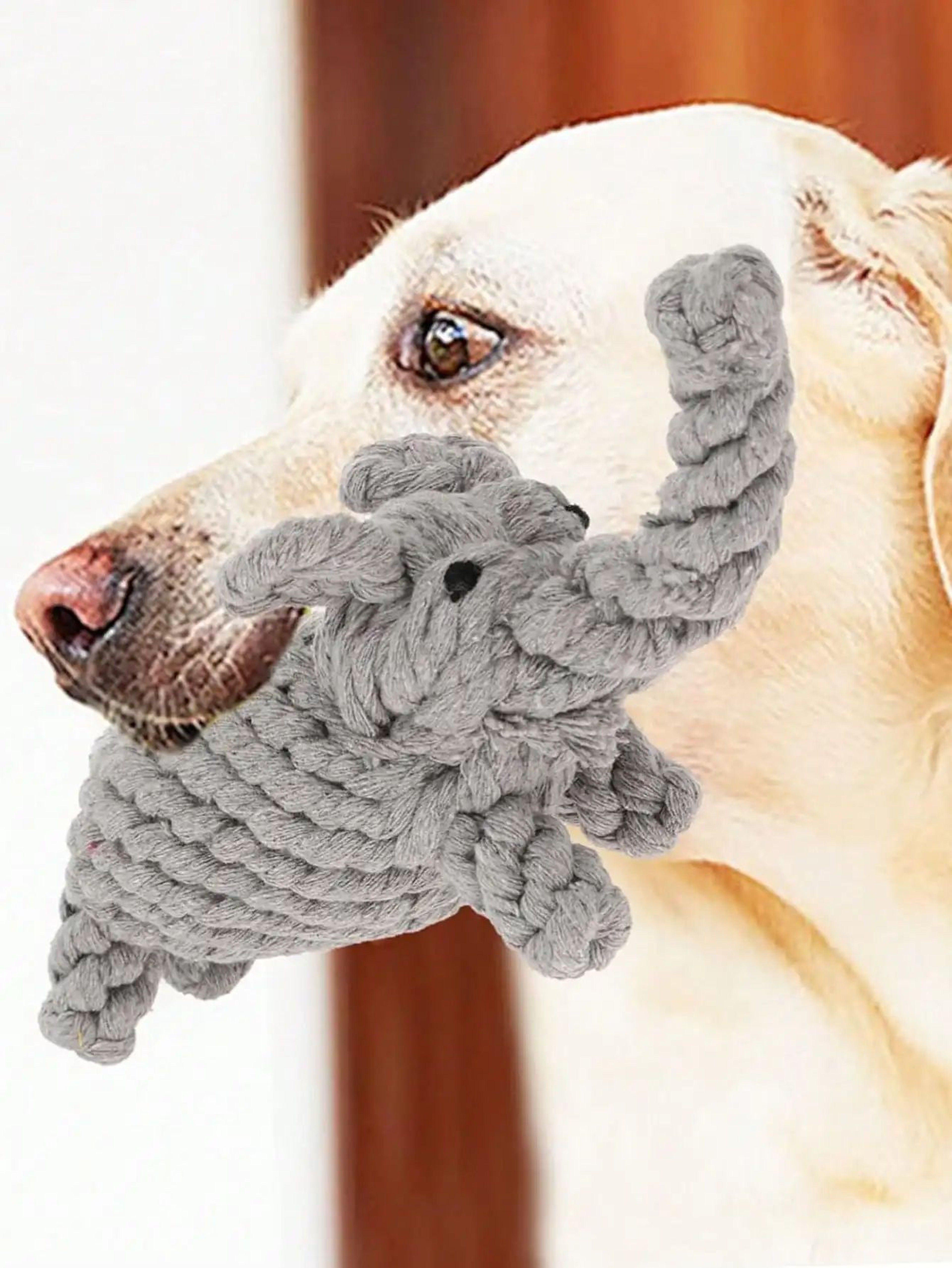 Hand Woven Cotton Rope Knot Dog Chew Toy 7