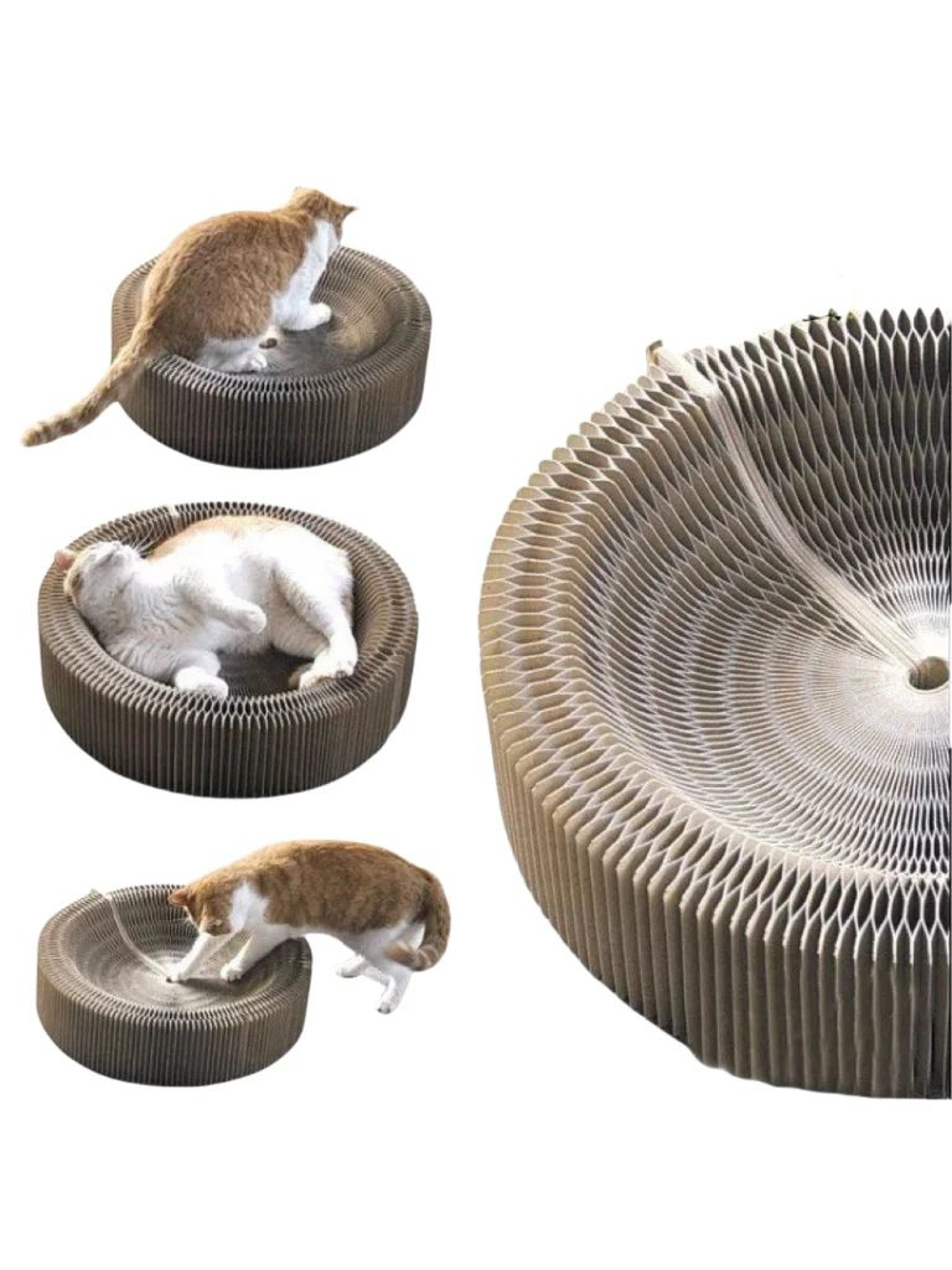 Foldable Magic Organ Cat Scratching Board Bed 14