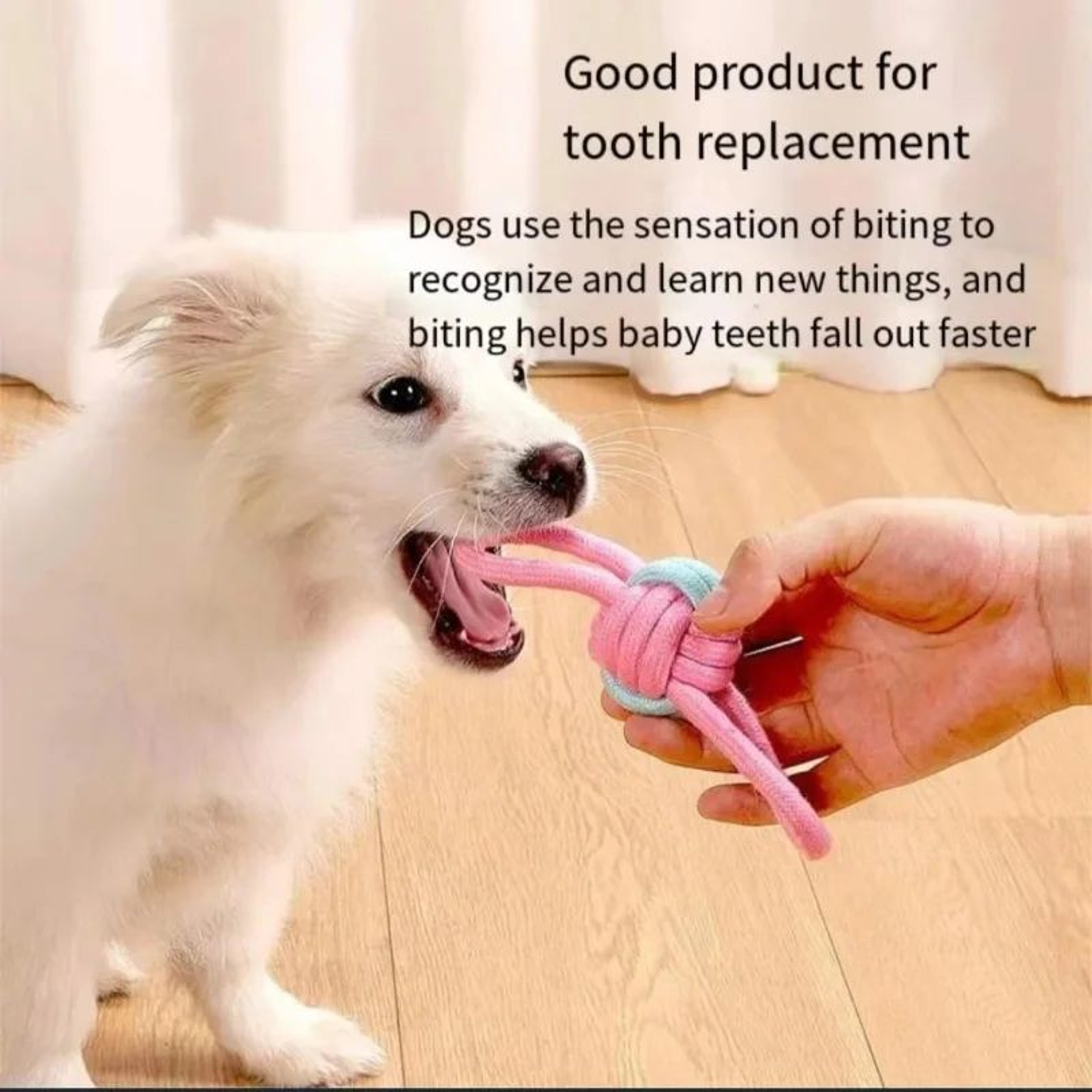 Bite Resistant Cotton Rope Ball Toy For Dogs 3
