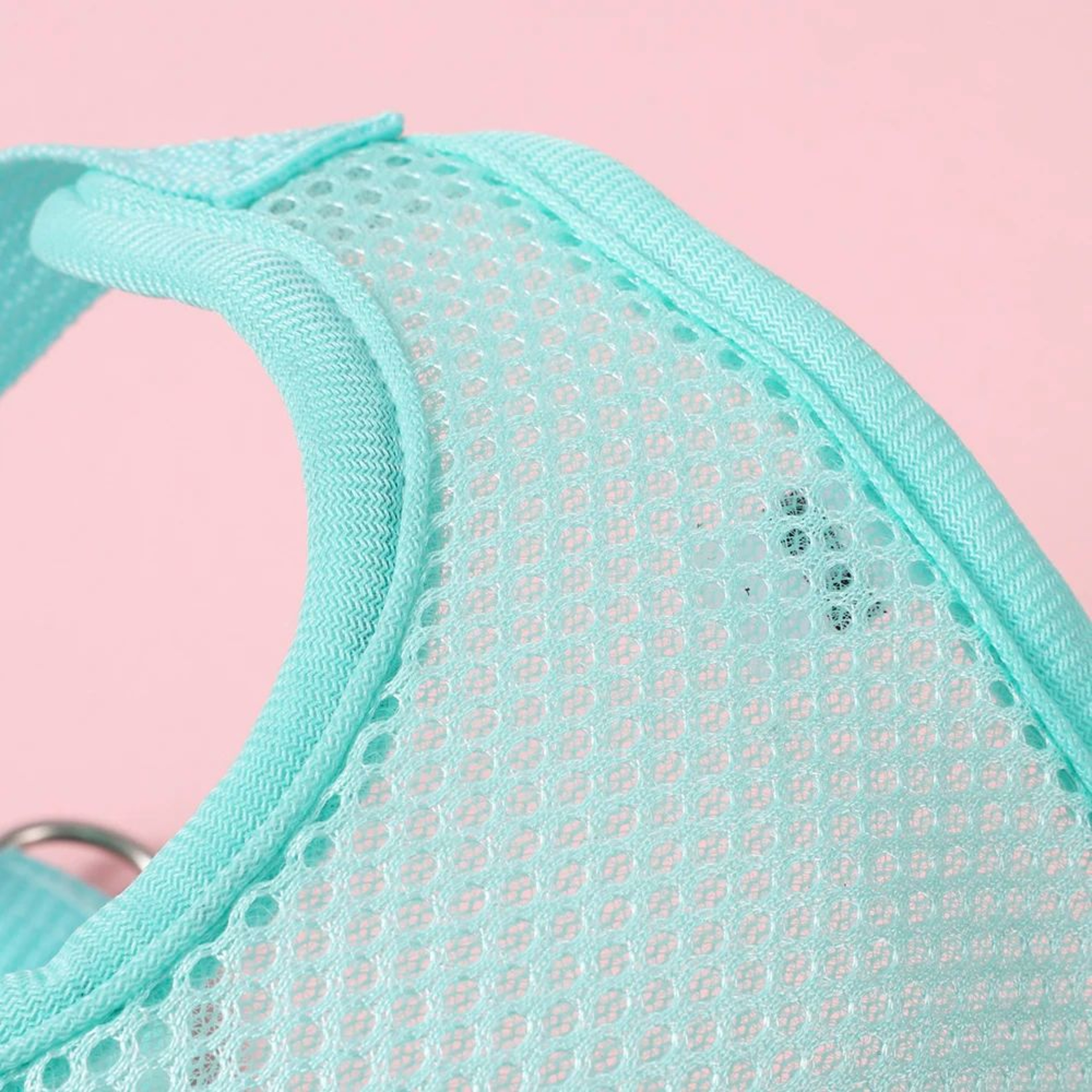 Breathable Butterfly Pet Harness And Leash Set 4