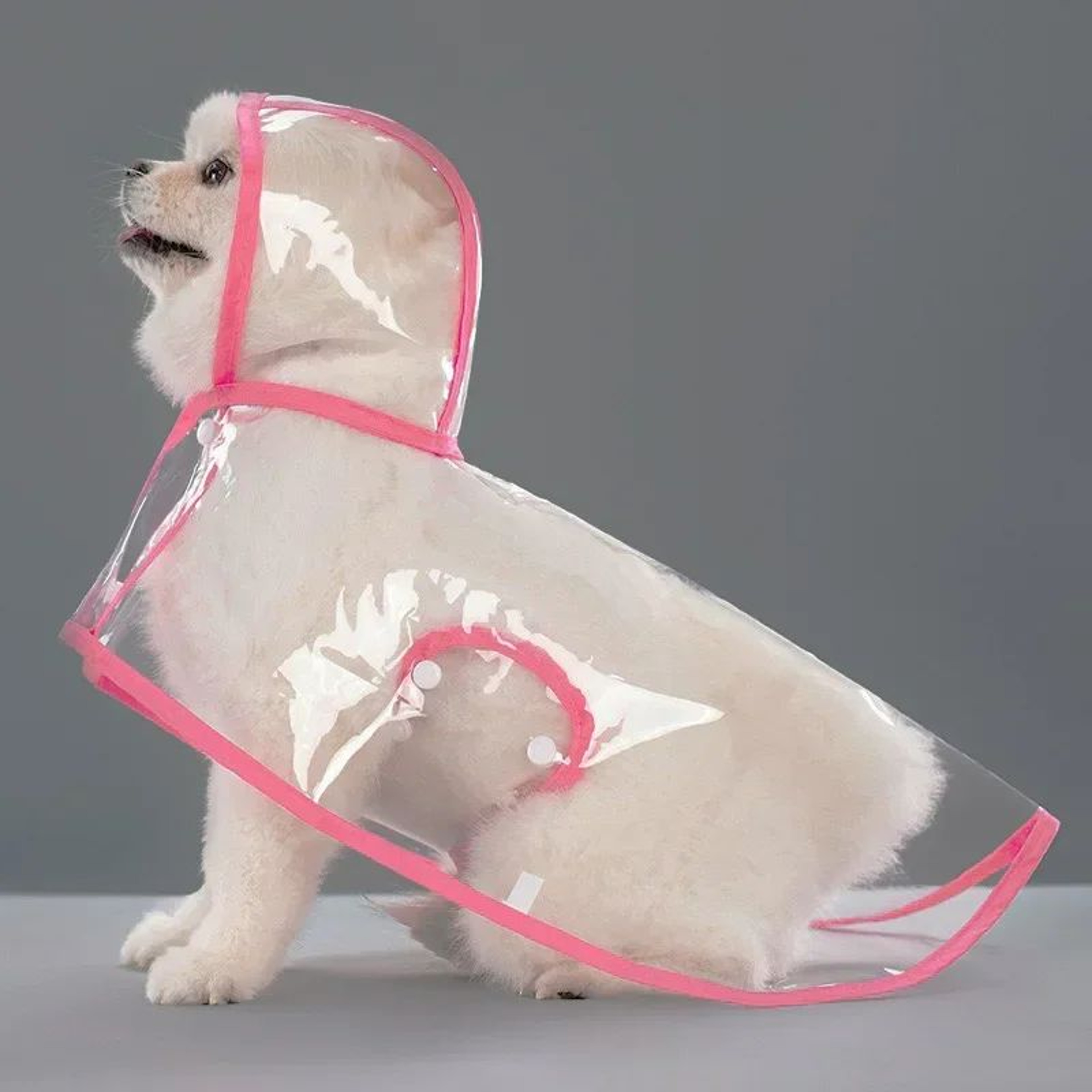 Transparent Waterproof Pet Raincoat For Small To Large Dogs 11