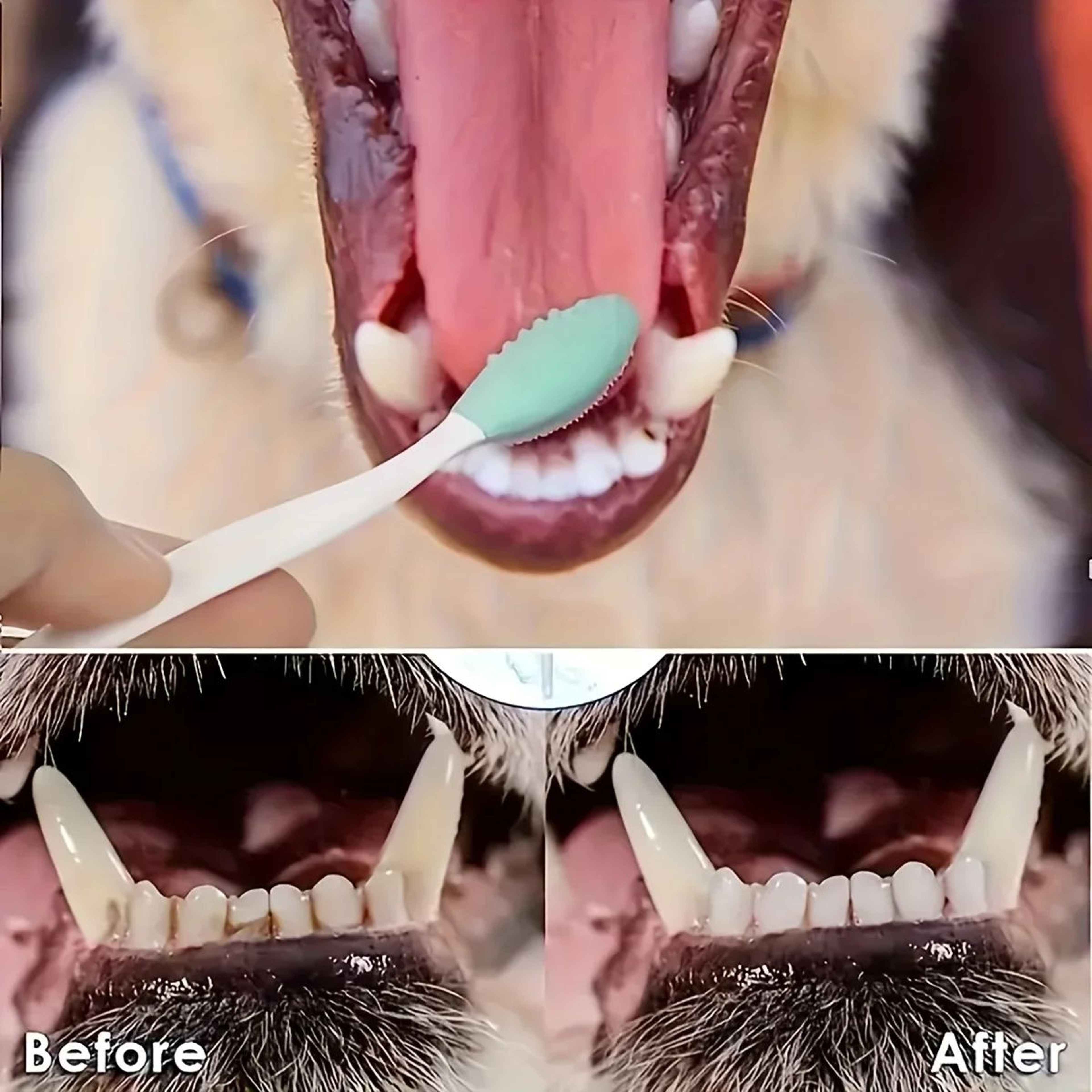 Soft Double Sided Dog Toothbrush Set 4
