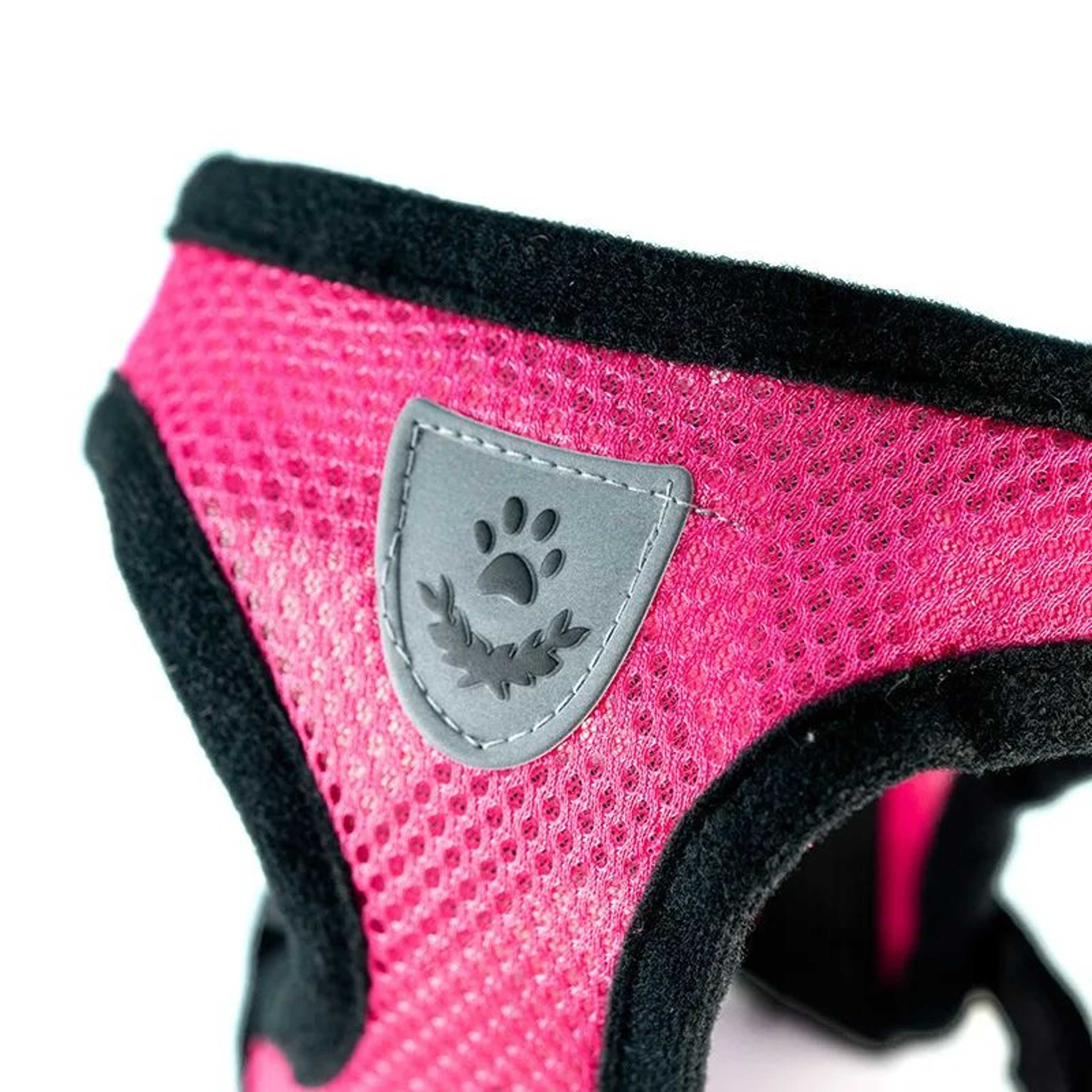 Breathable Summer Pet Harness And Leash Set 2