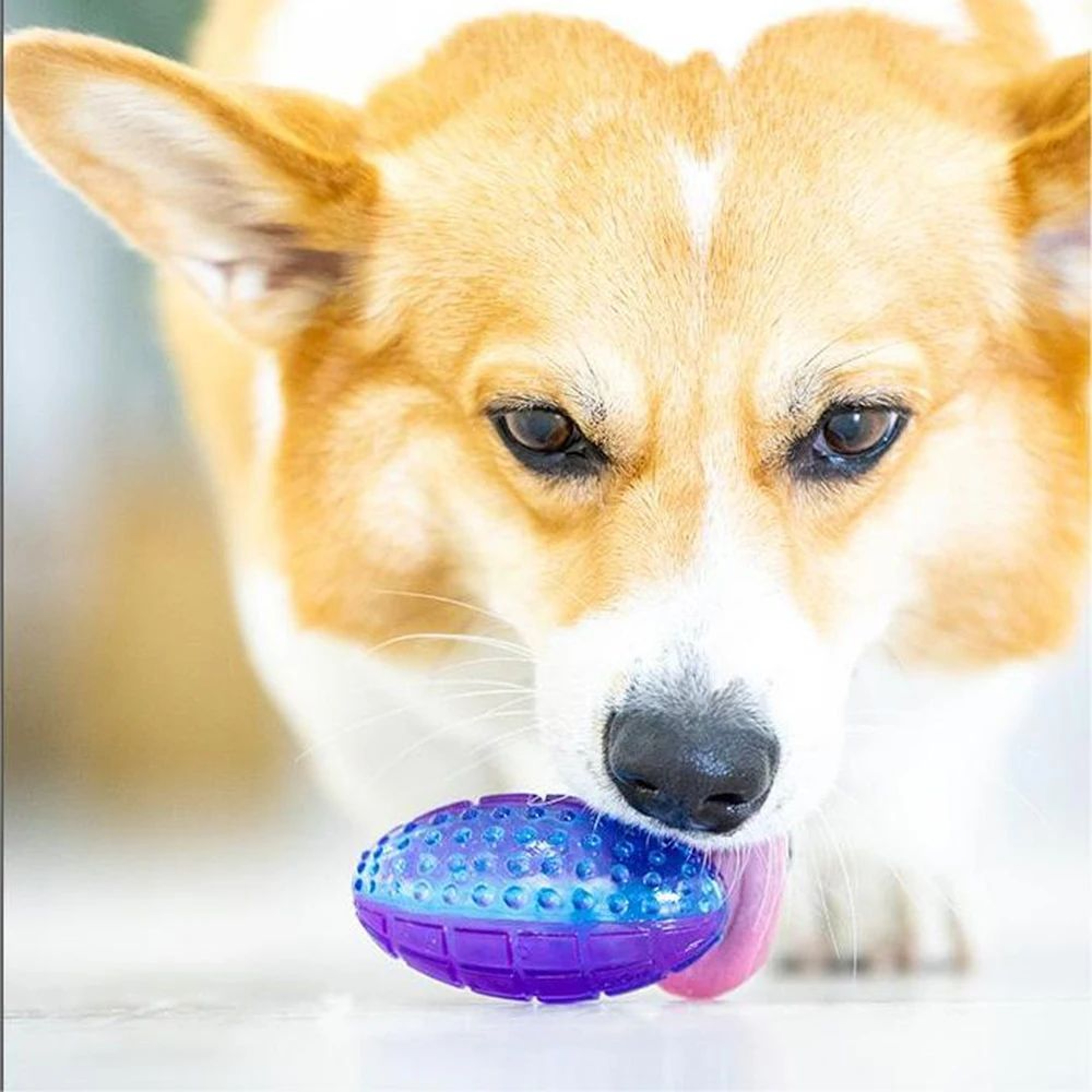 Natural Rubber Squeaky Dog Chew Ball Toy 5