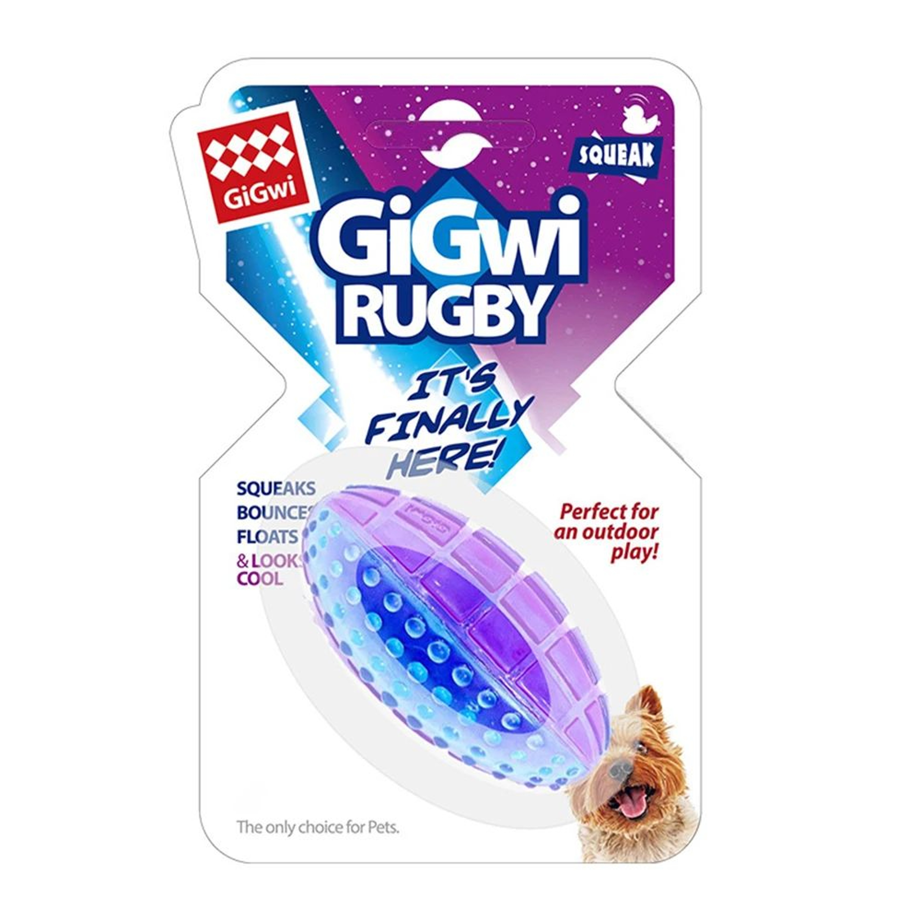 Natural Rubber Squeaky Dog Chew Ball Toy 7