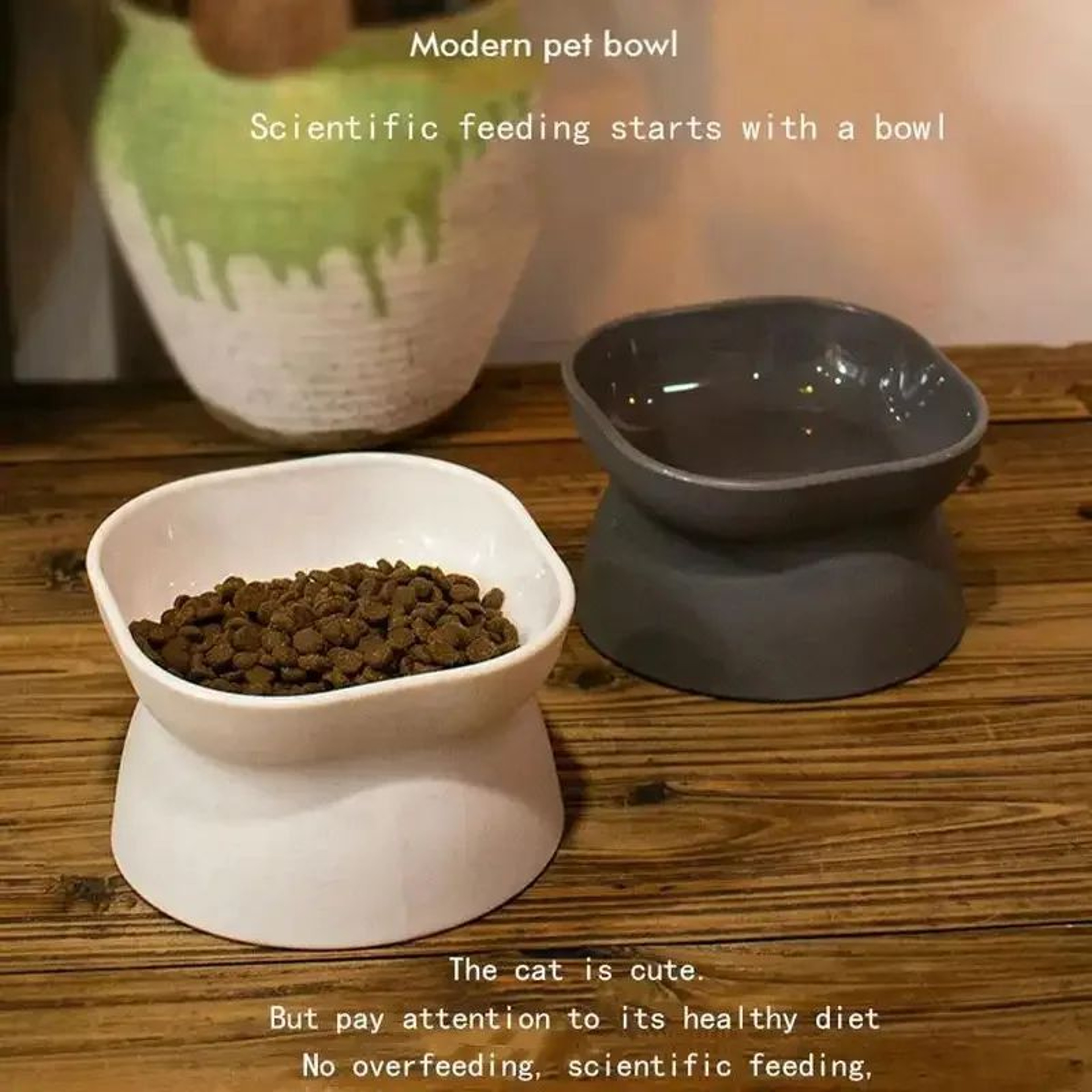 Elevated Anti Rollover Cat Bowl 1