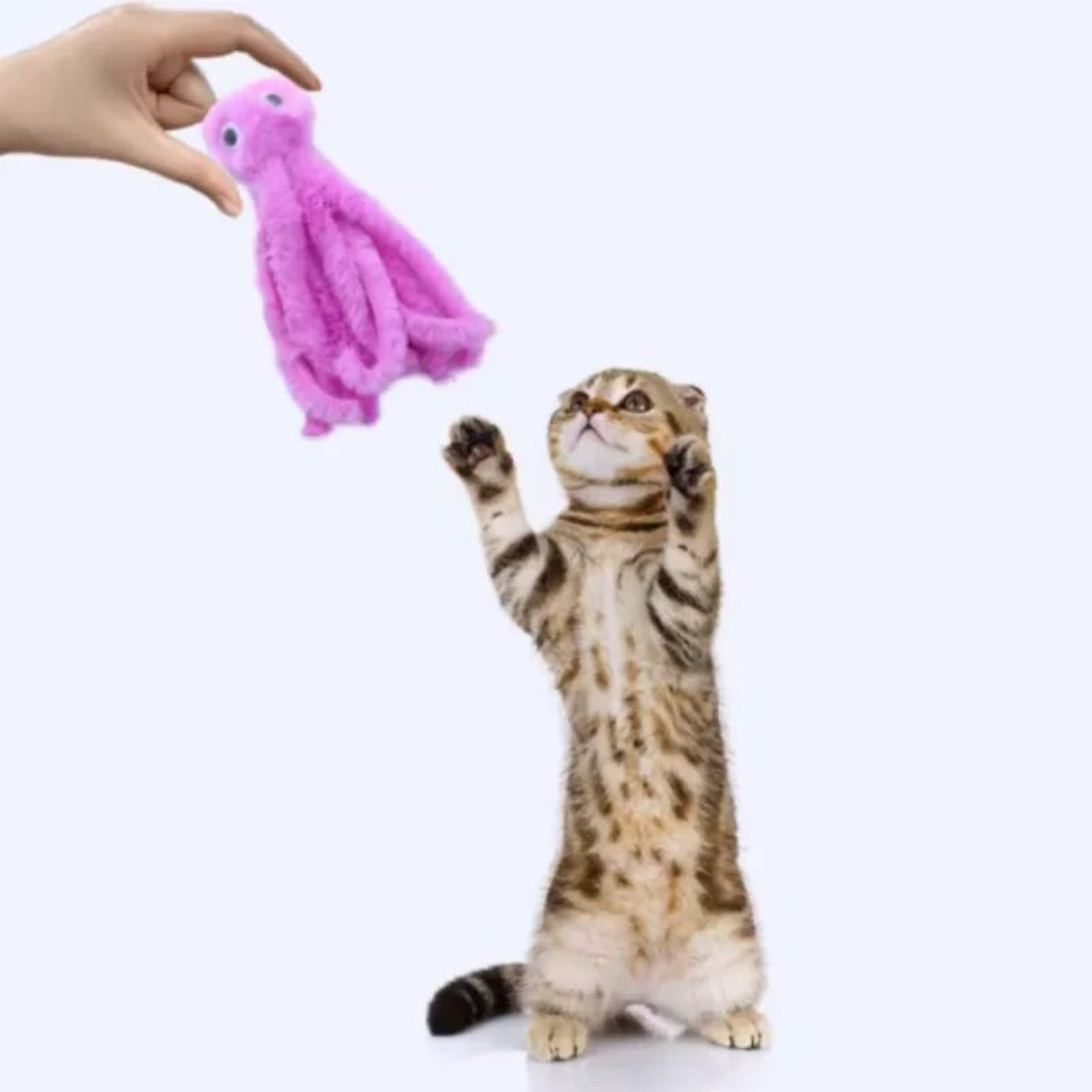 Plush Octopus Catnip Cat Toy 5