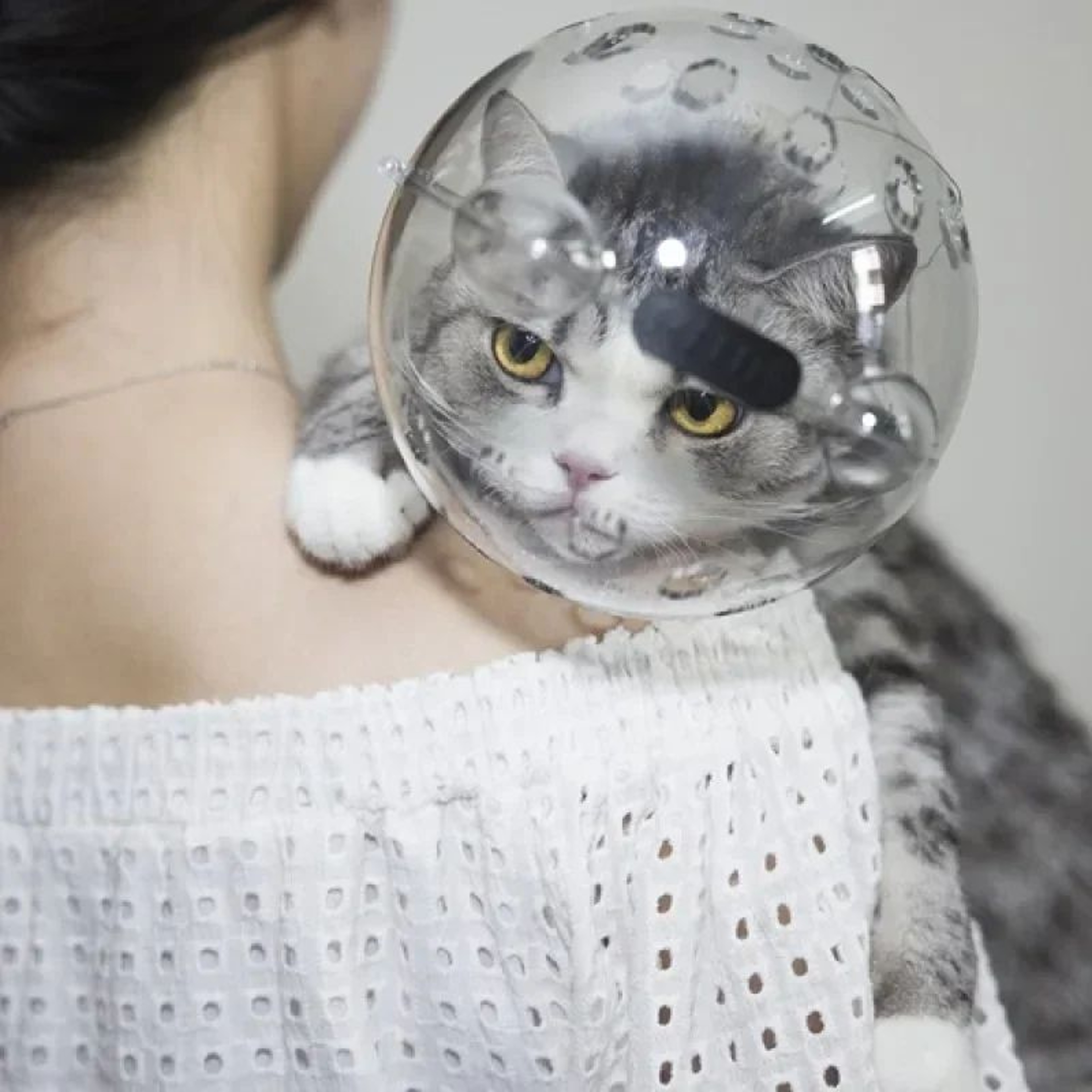 Breathable Cat Grooming Protection Helmet 5