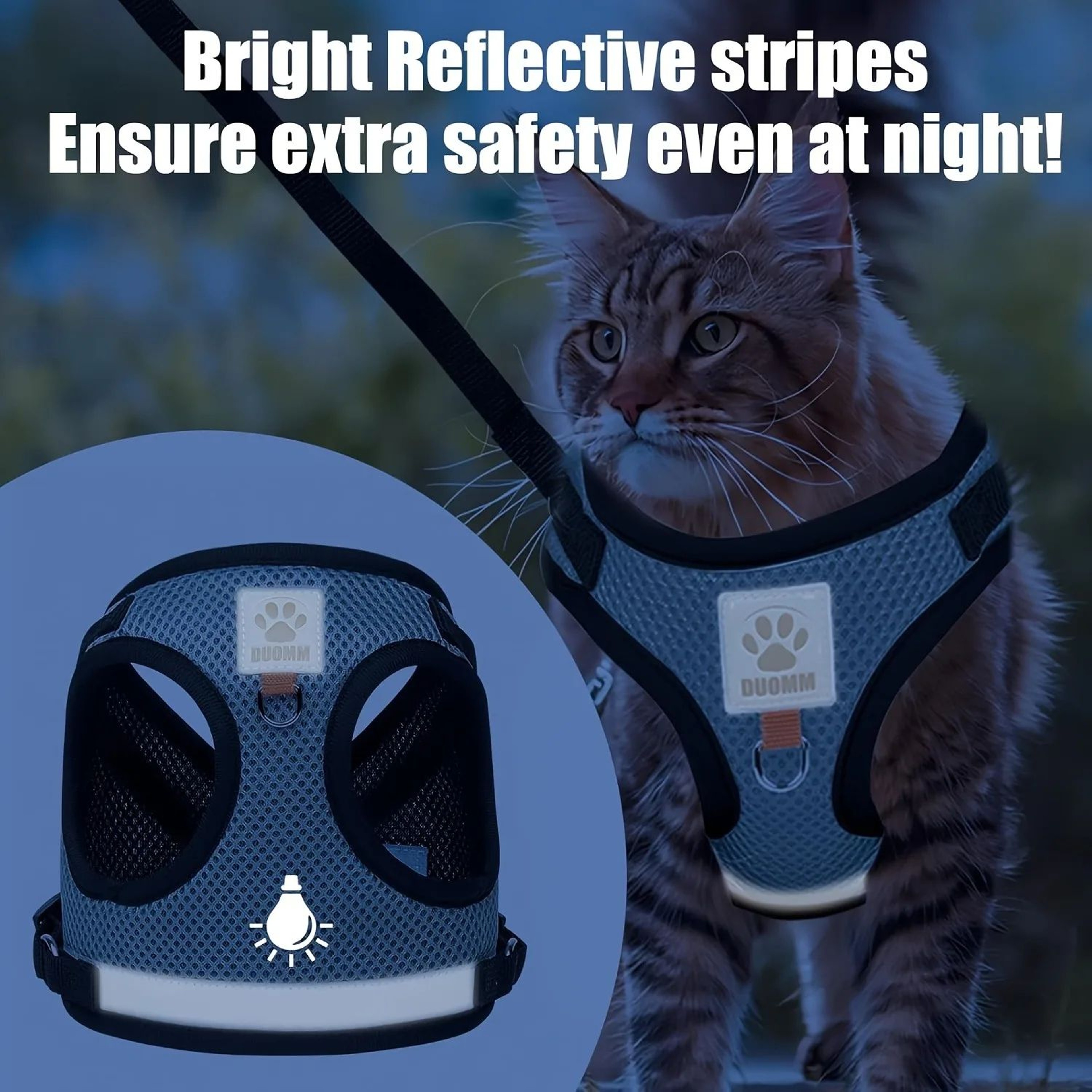 Adjustable Kitten Harness And Leash Set 5