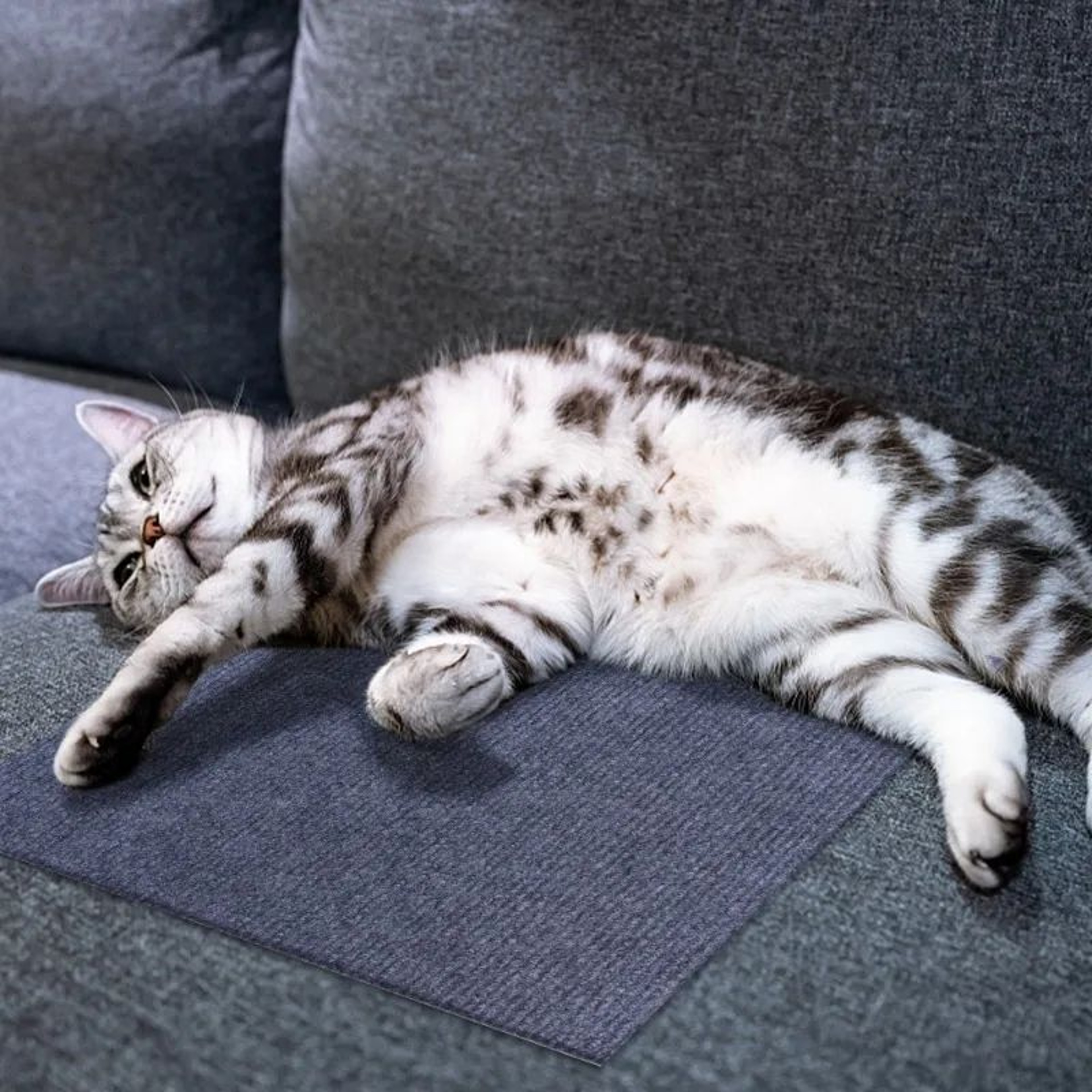 Self Adhesive Sisal Cat Scratching Mat Set 13
