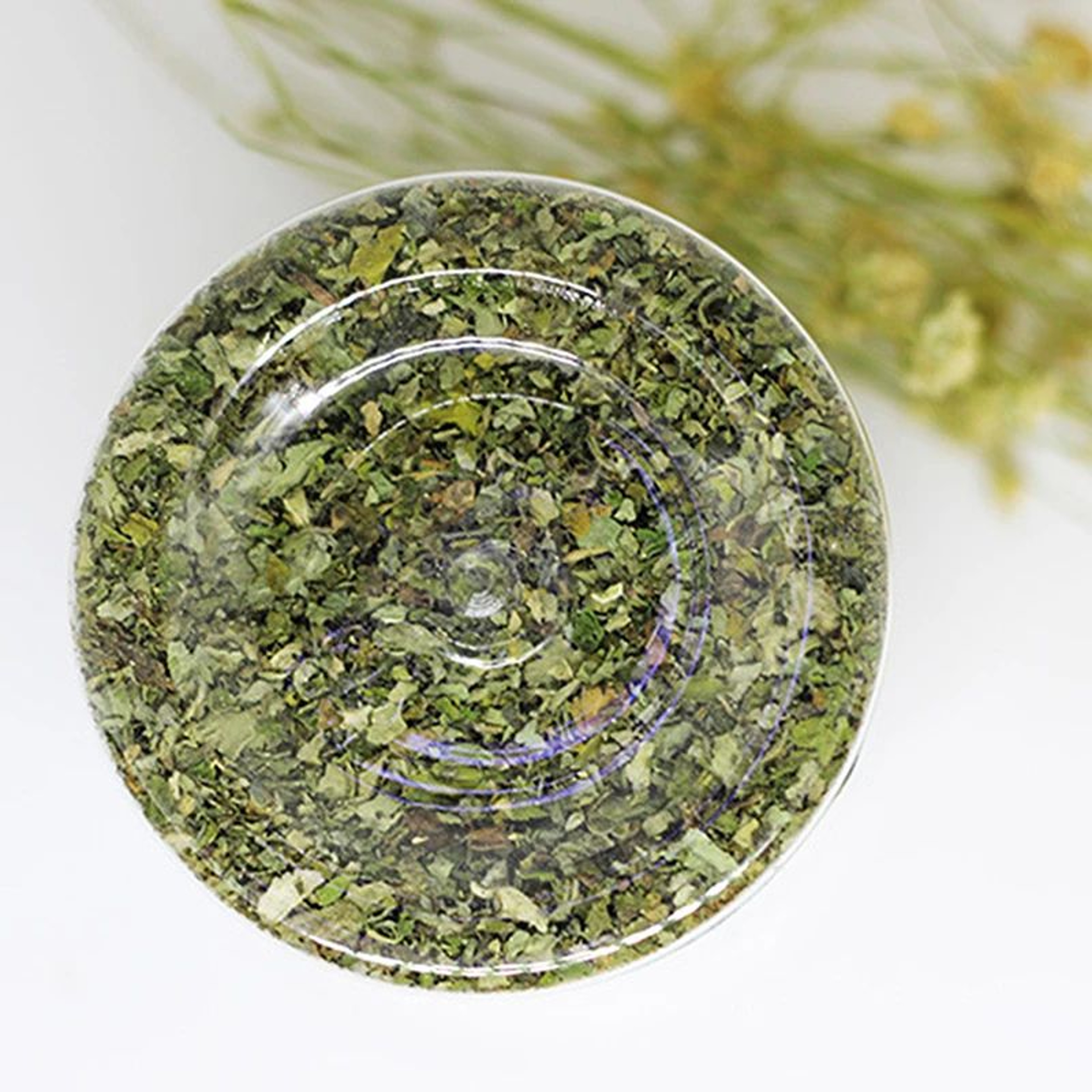 Natural Organic Catnip Mint Interactive Cat Toy 5