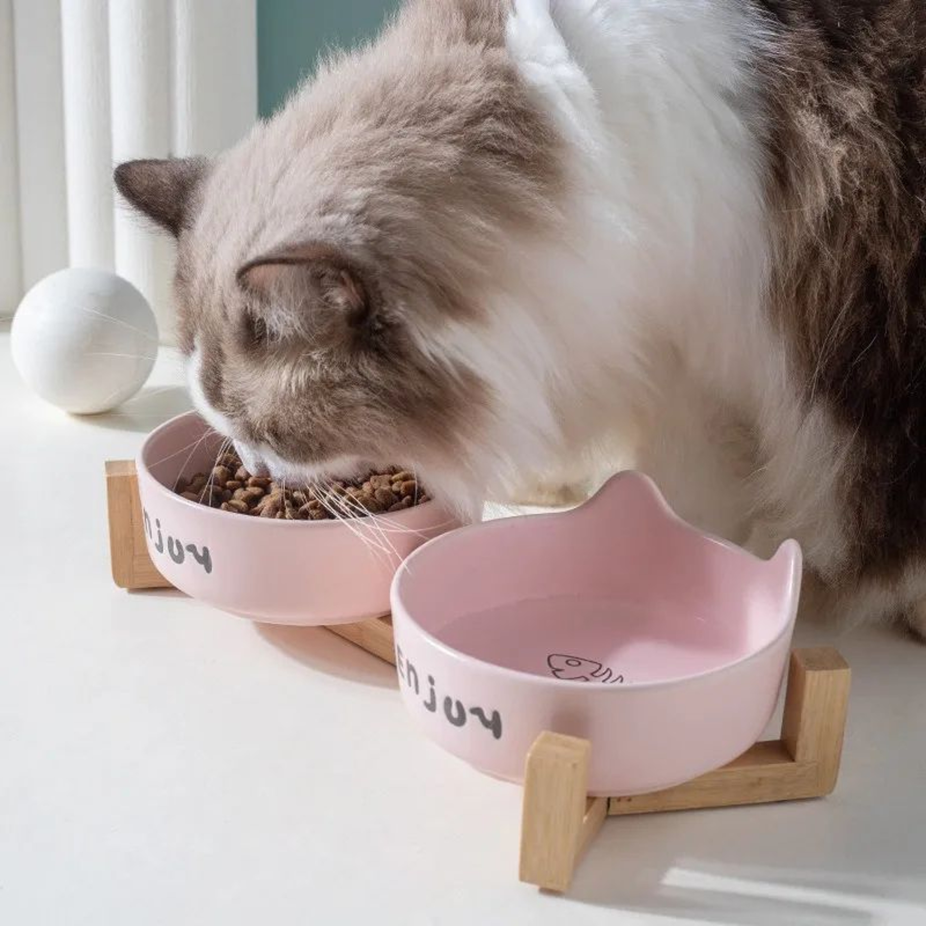 Ceramic Double Pet Food Bowl Set With Non Slip Rack 1