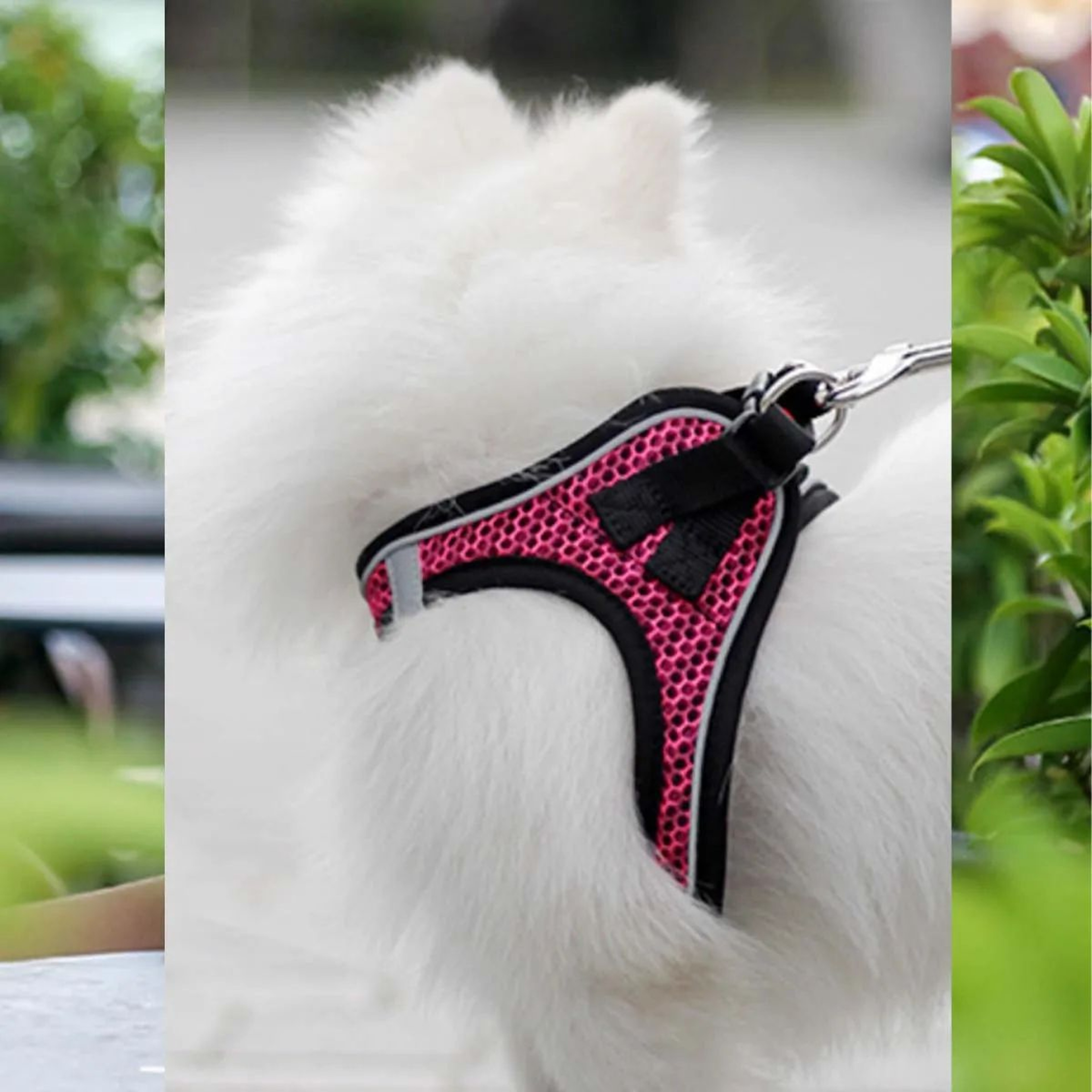 Adjustable Escape Proof Cat Harness And Leash Set 8