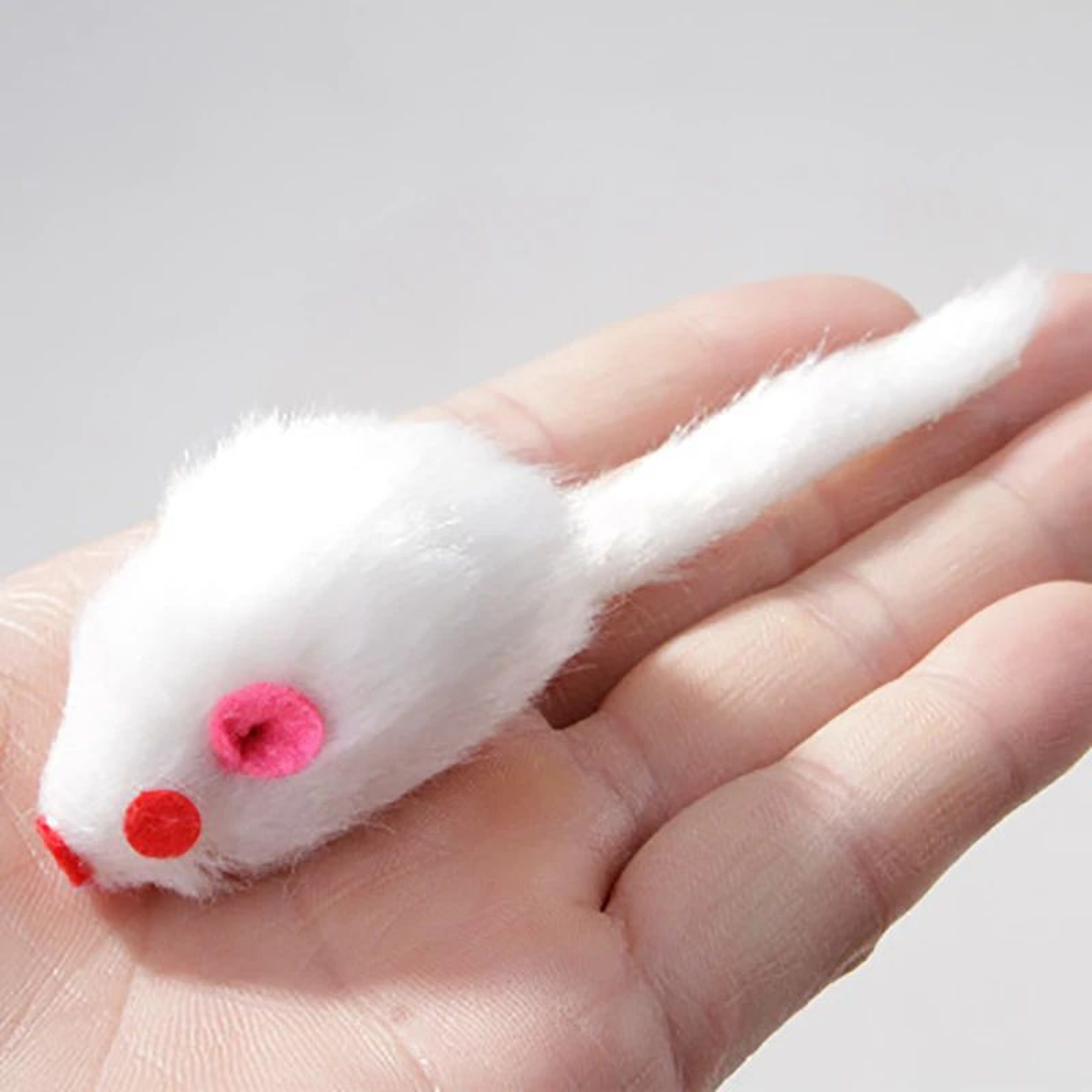 5PCS Plush Mouse Cat Toy Set For Kittens And Cats 3