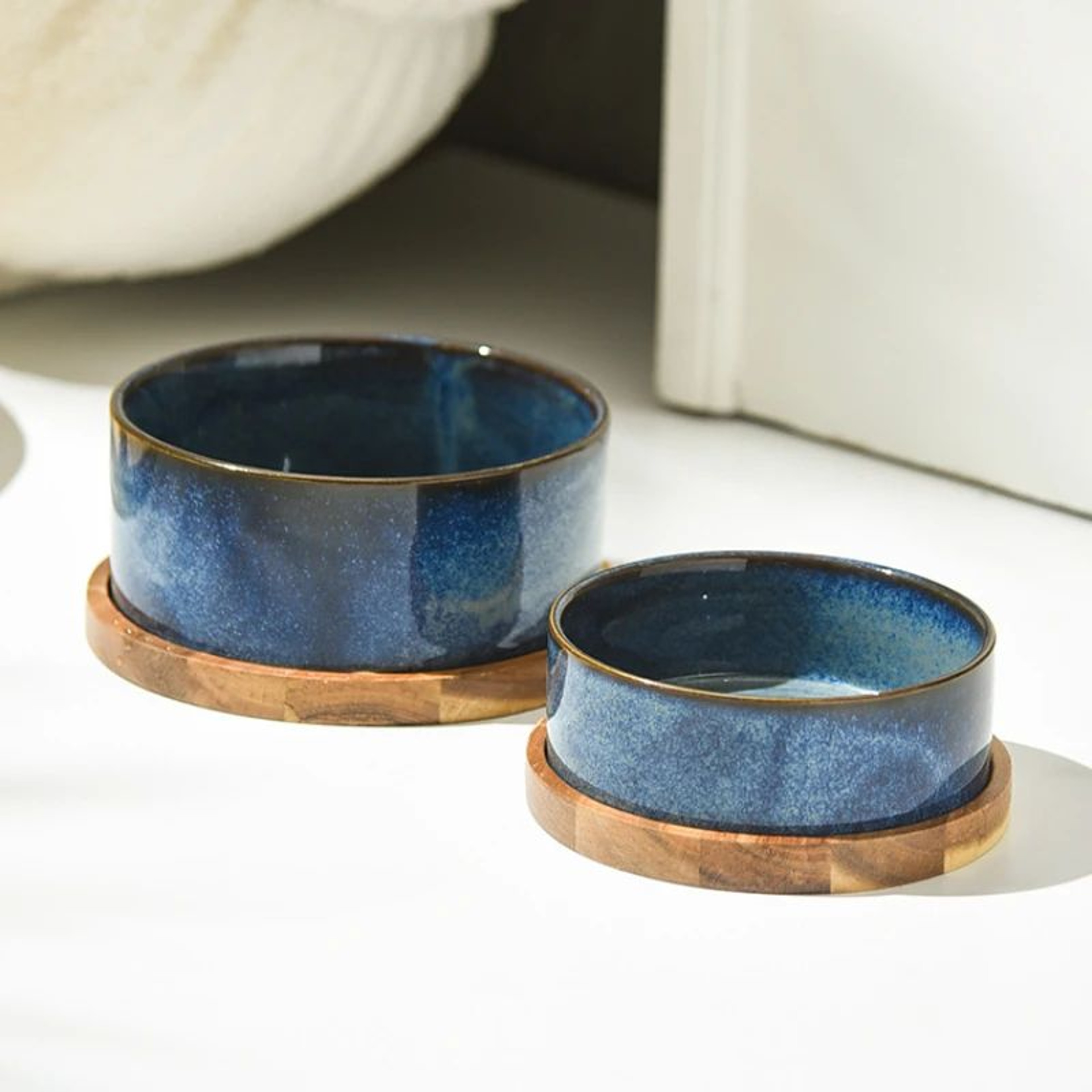 Elevated Ceramic Cat Food Bowl 1
