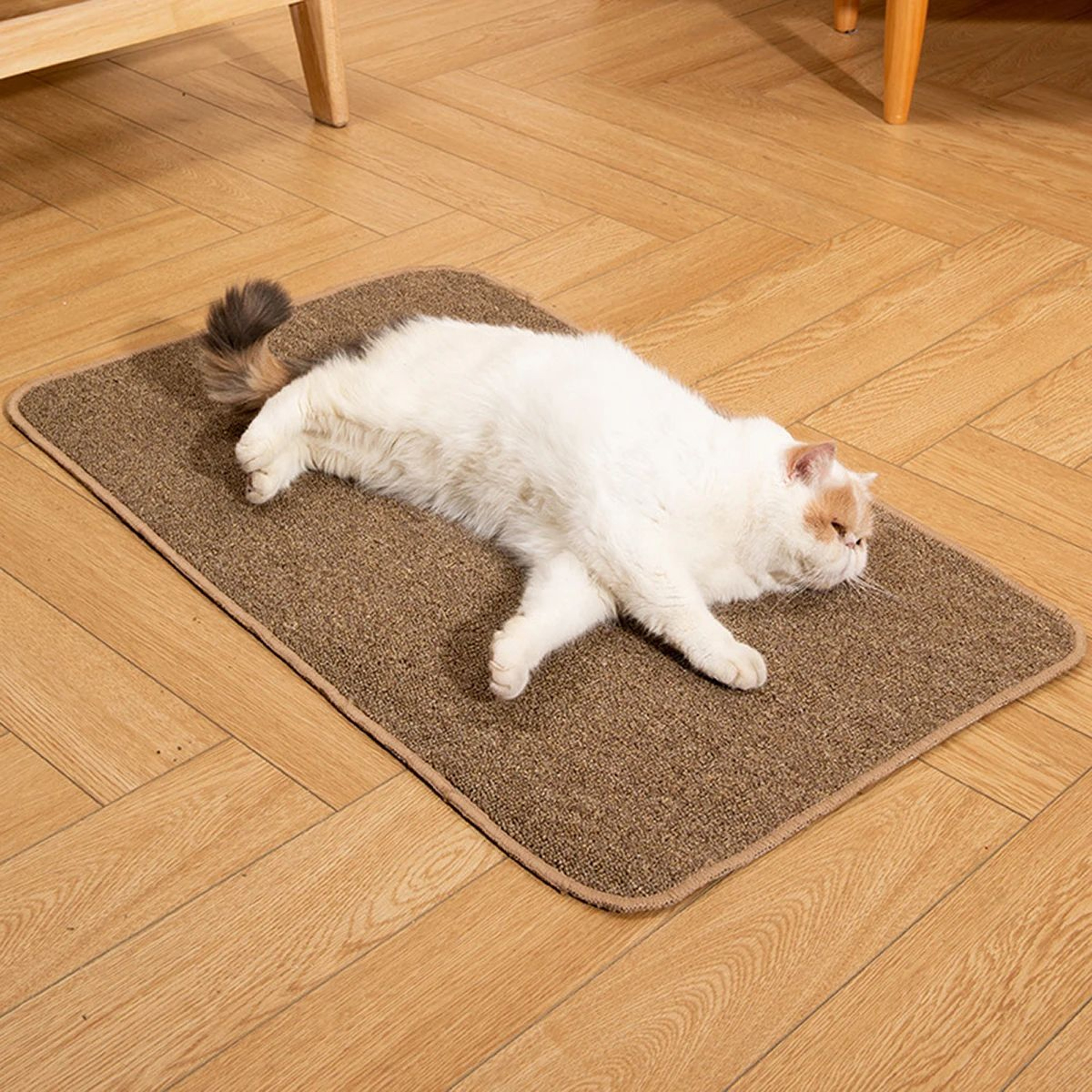Large Non Slip Cat Scratching Mat 3