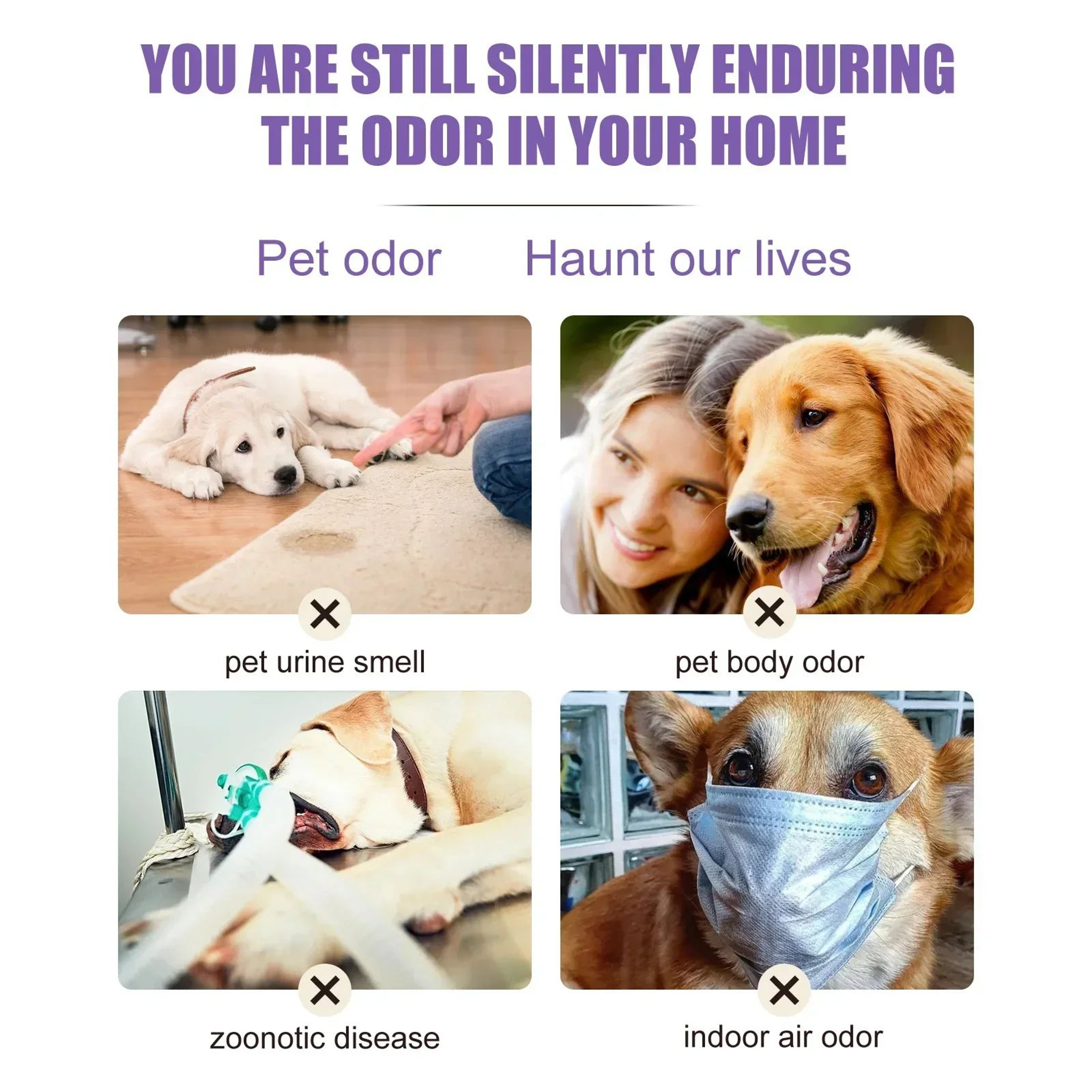 Lavender Pet Deodorizing Spray For Dogs And Cats 4