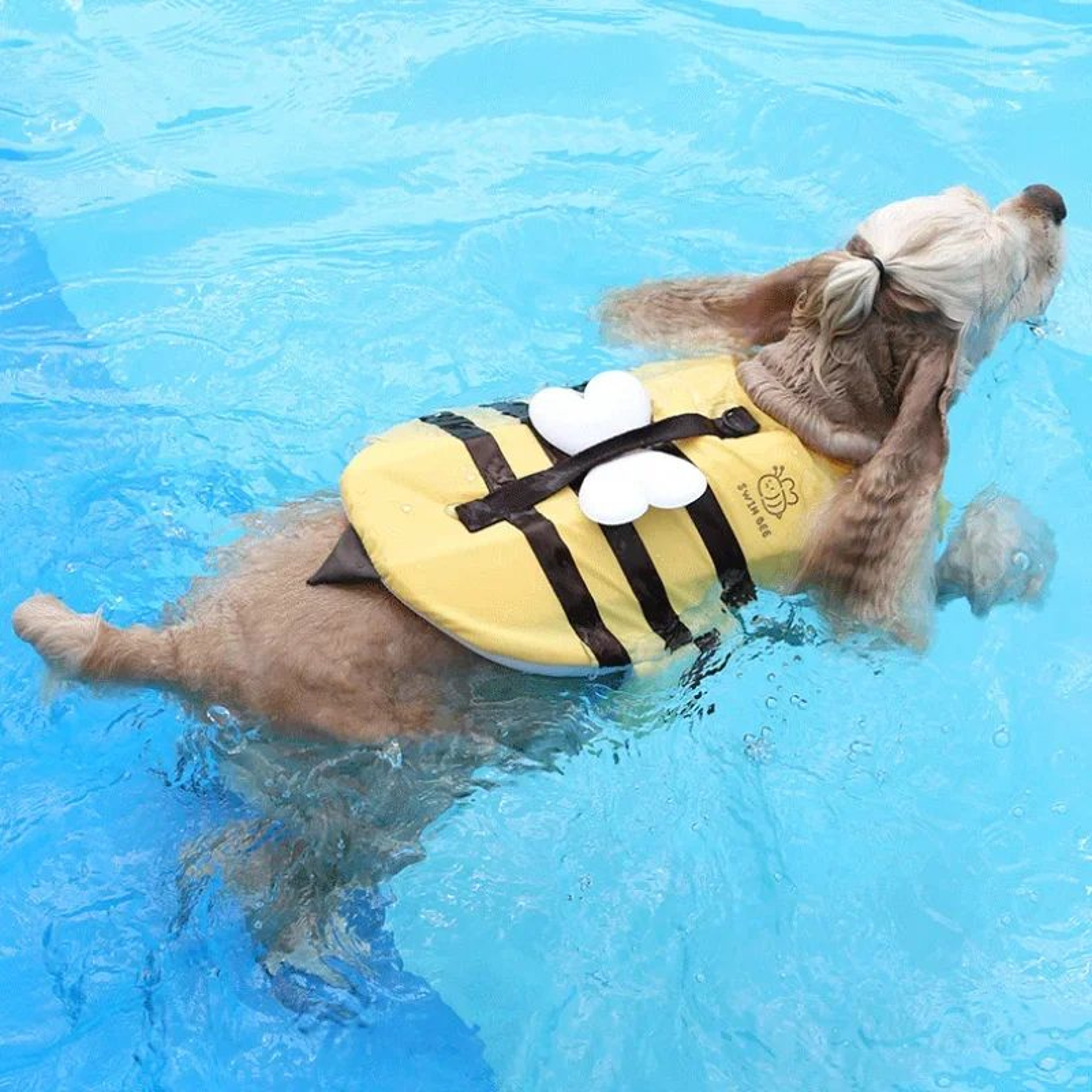Summer Bee Dog Life Jacket Harness 3