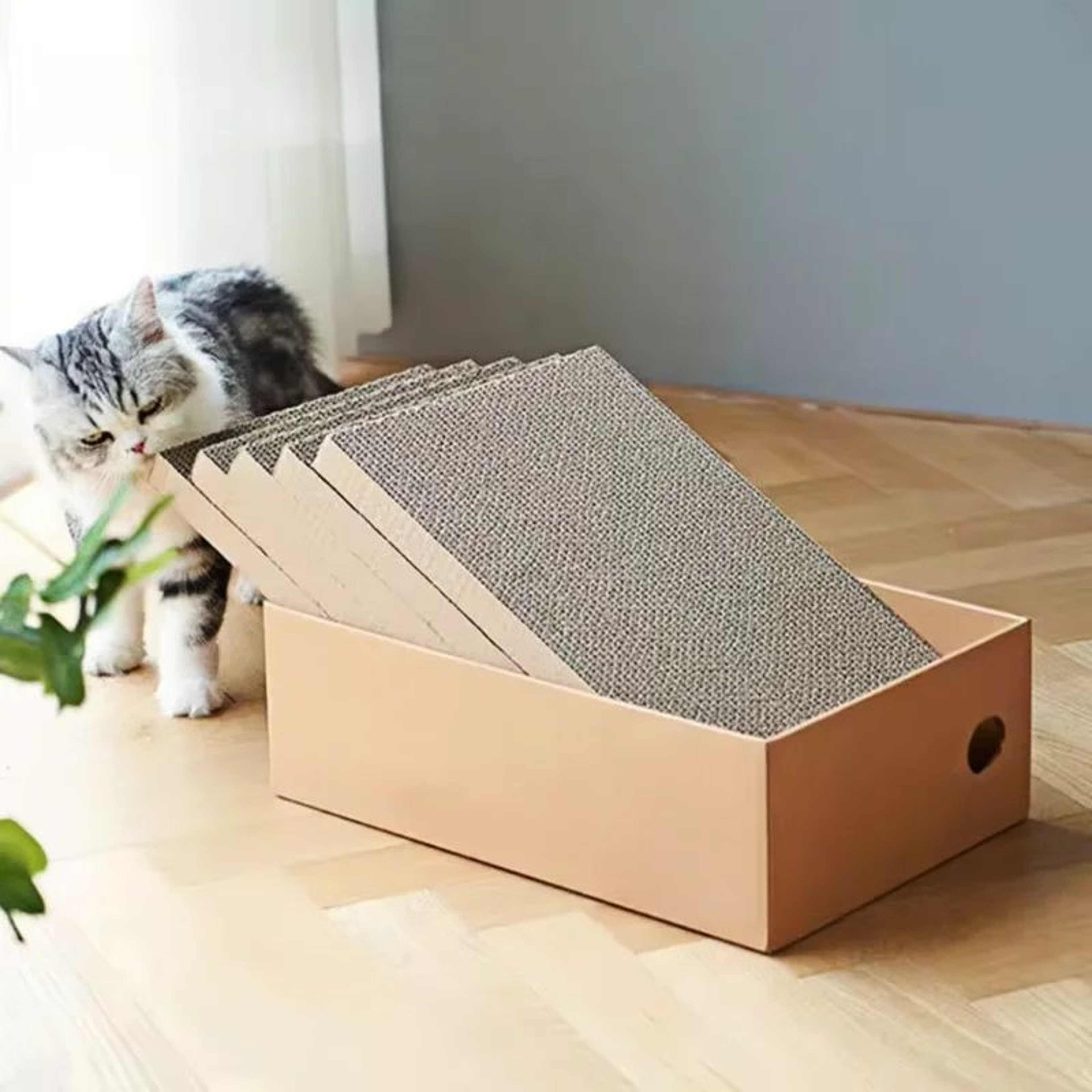 Cardboard Cat Scratching Post Box Set 0