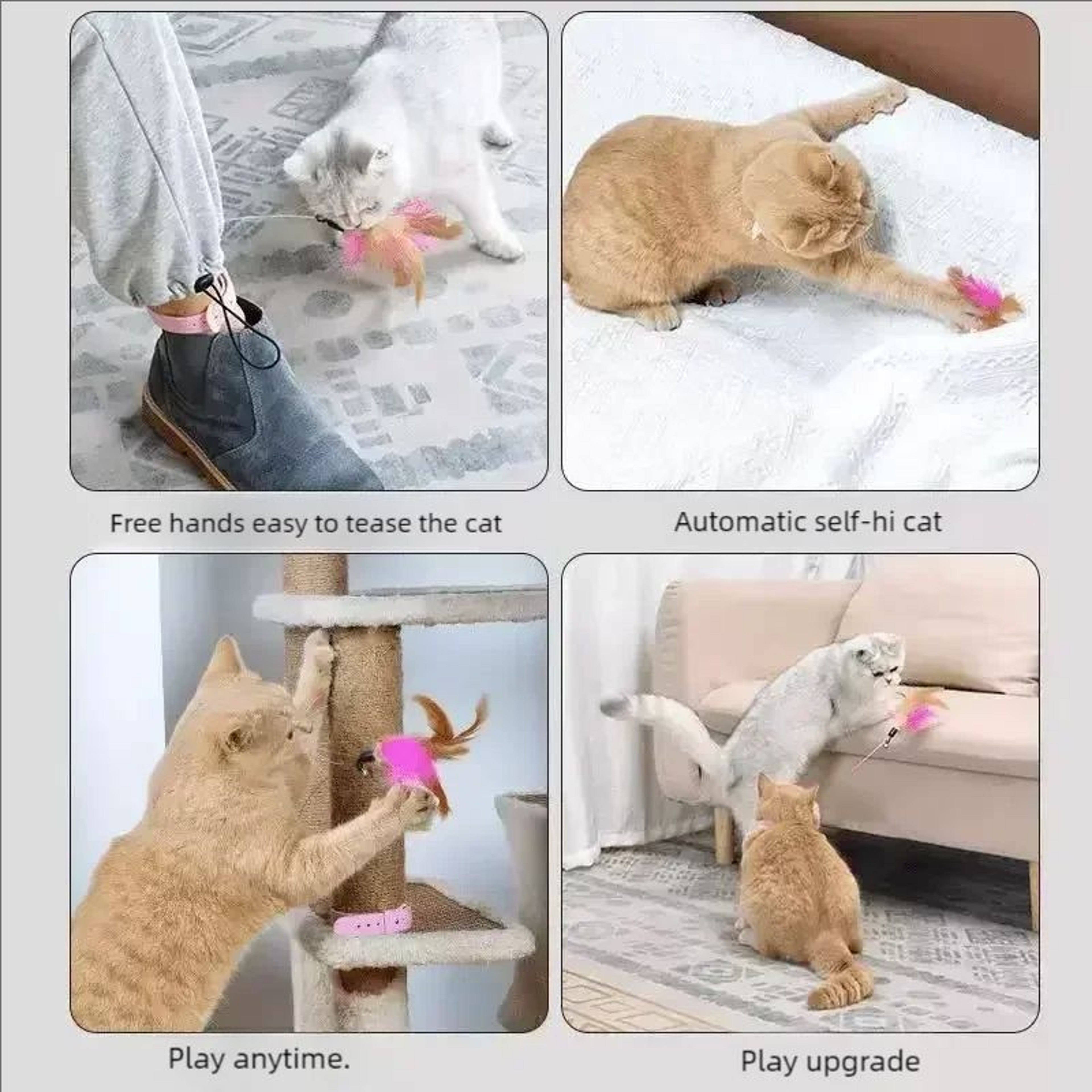 Interactive Suction Cup Cat Teaser Wand 10