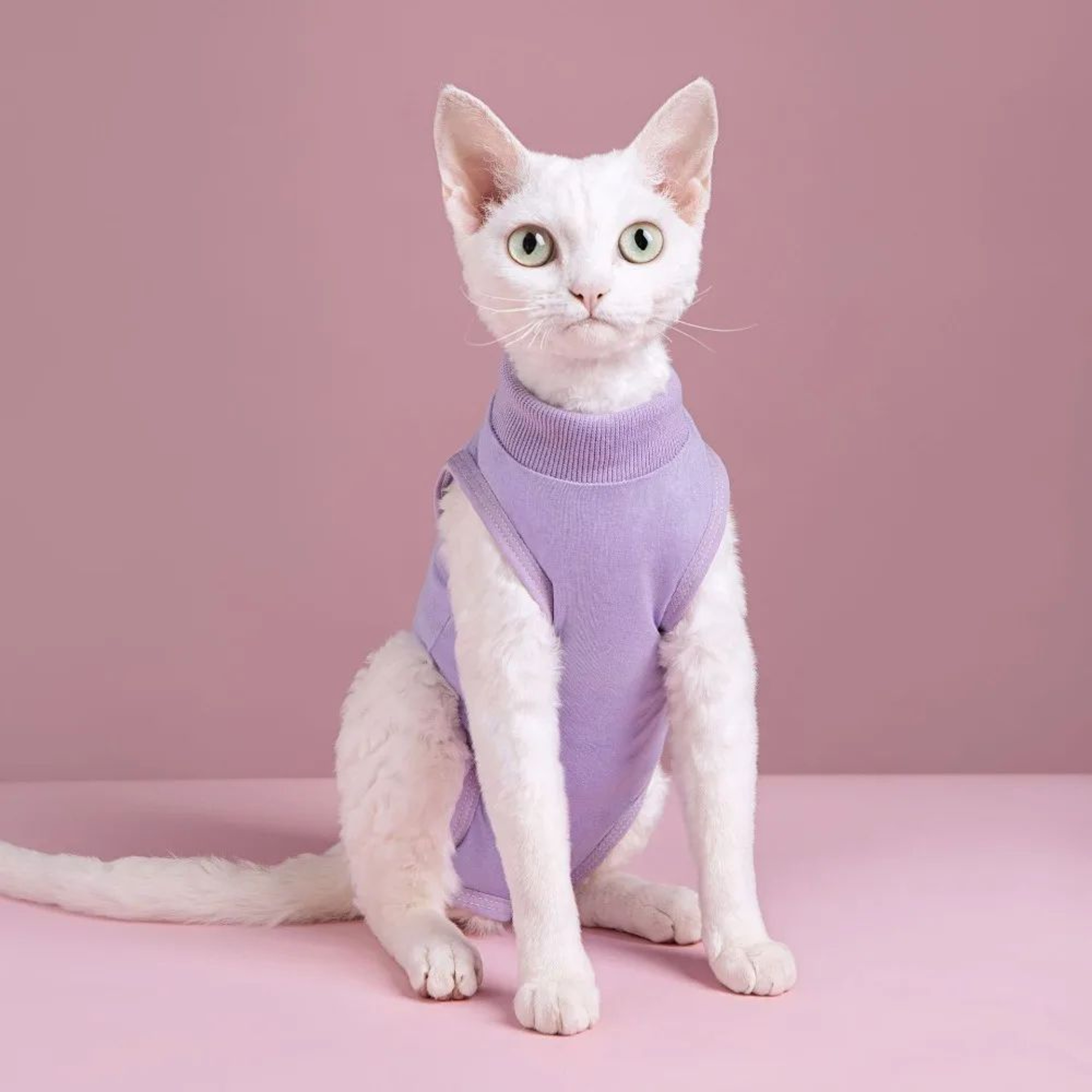 Cat Recovery Surgery Jumpsuit 4