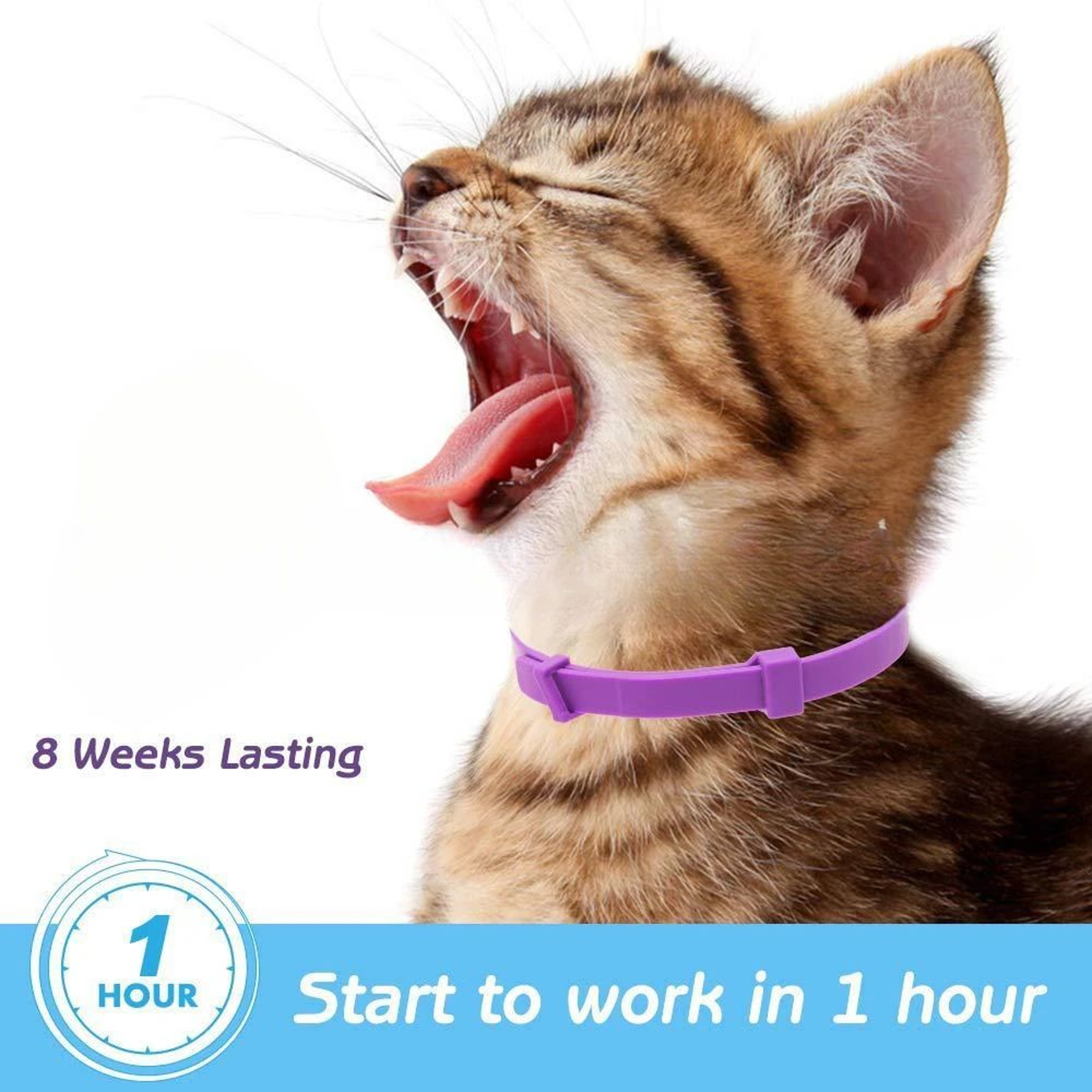 Cat Calming Pheromone Collar 3 Pack 4