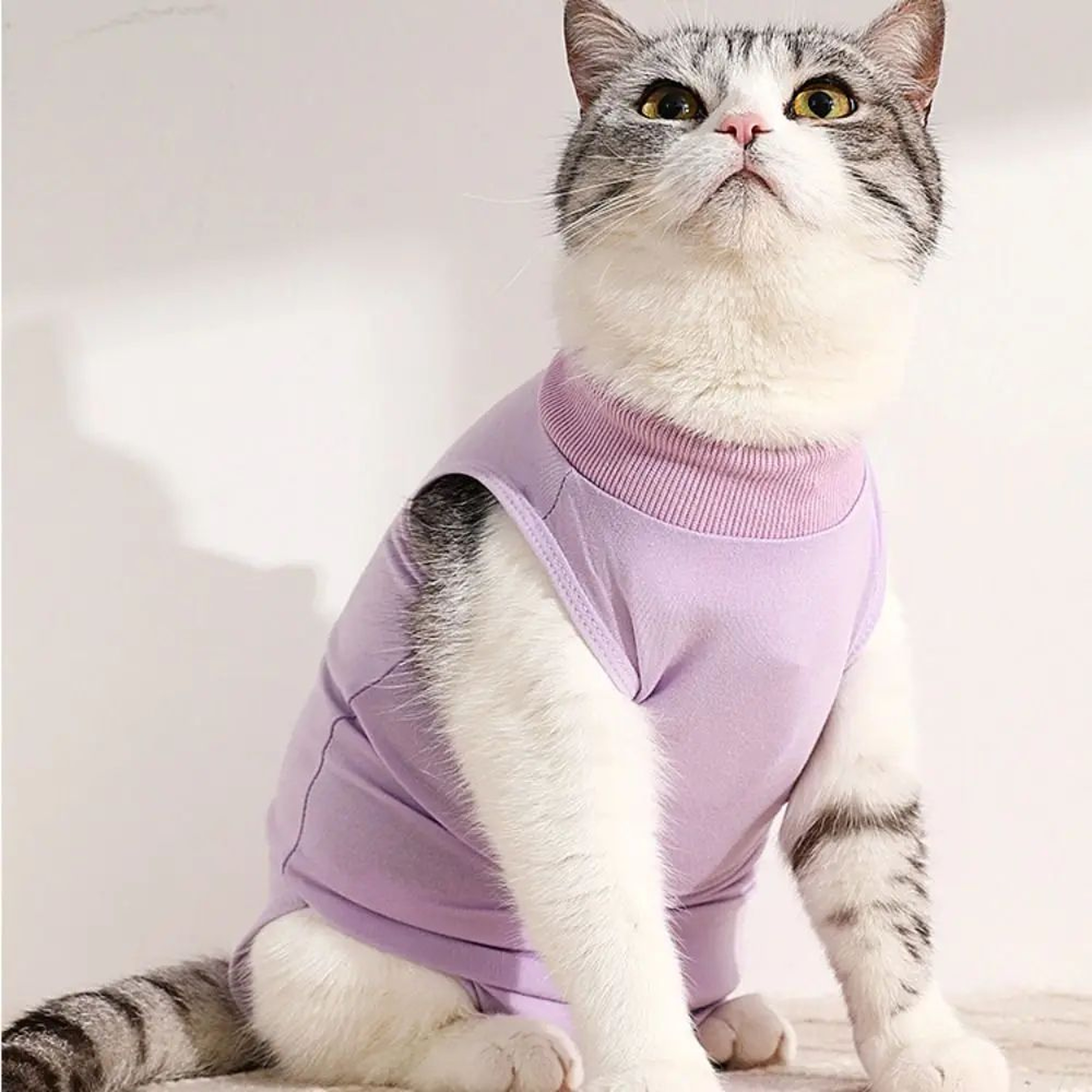 Soft Anti Licking Cat Recovery Jumpsuit 2