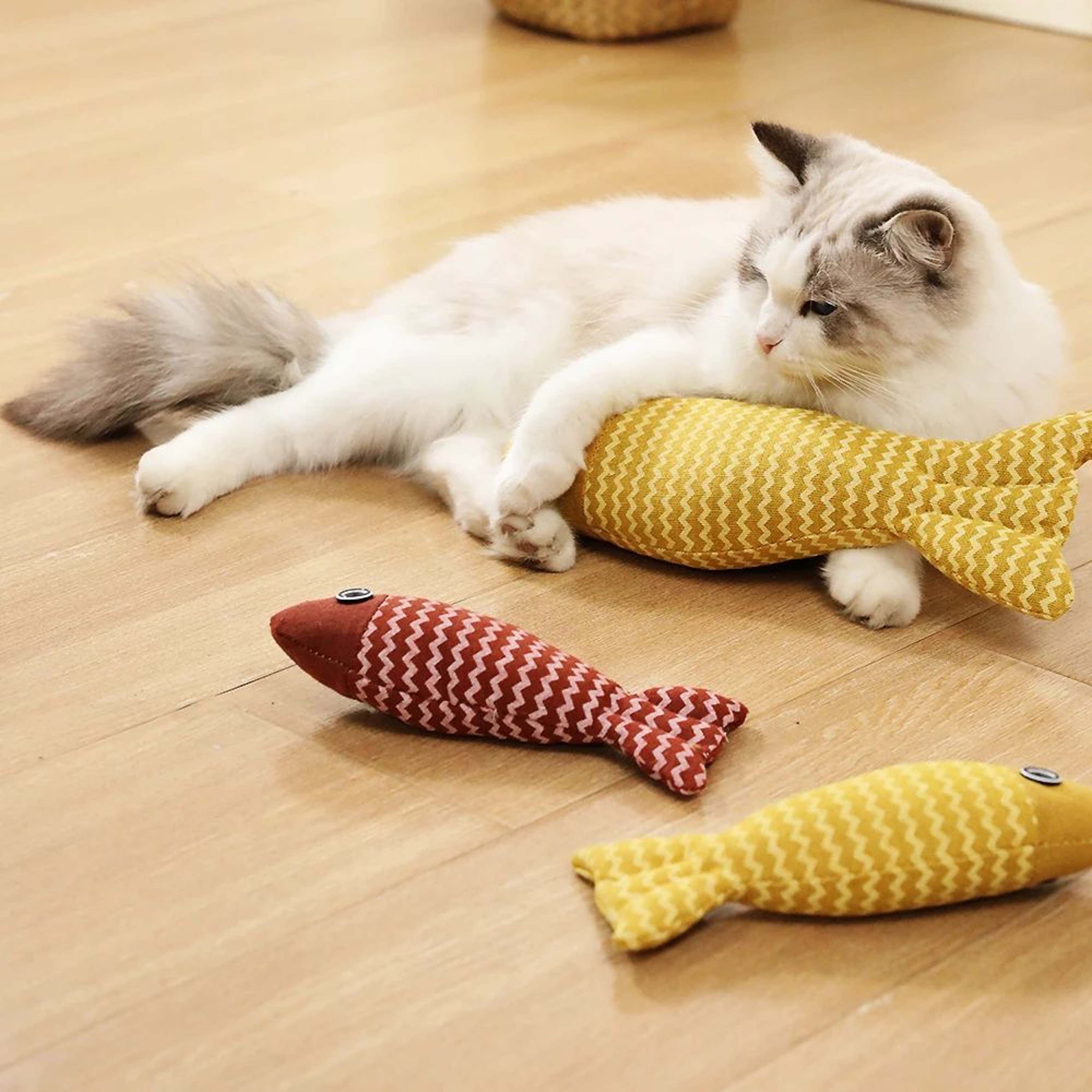 Interactive Fish Cat Kicker Toy 6