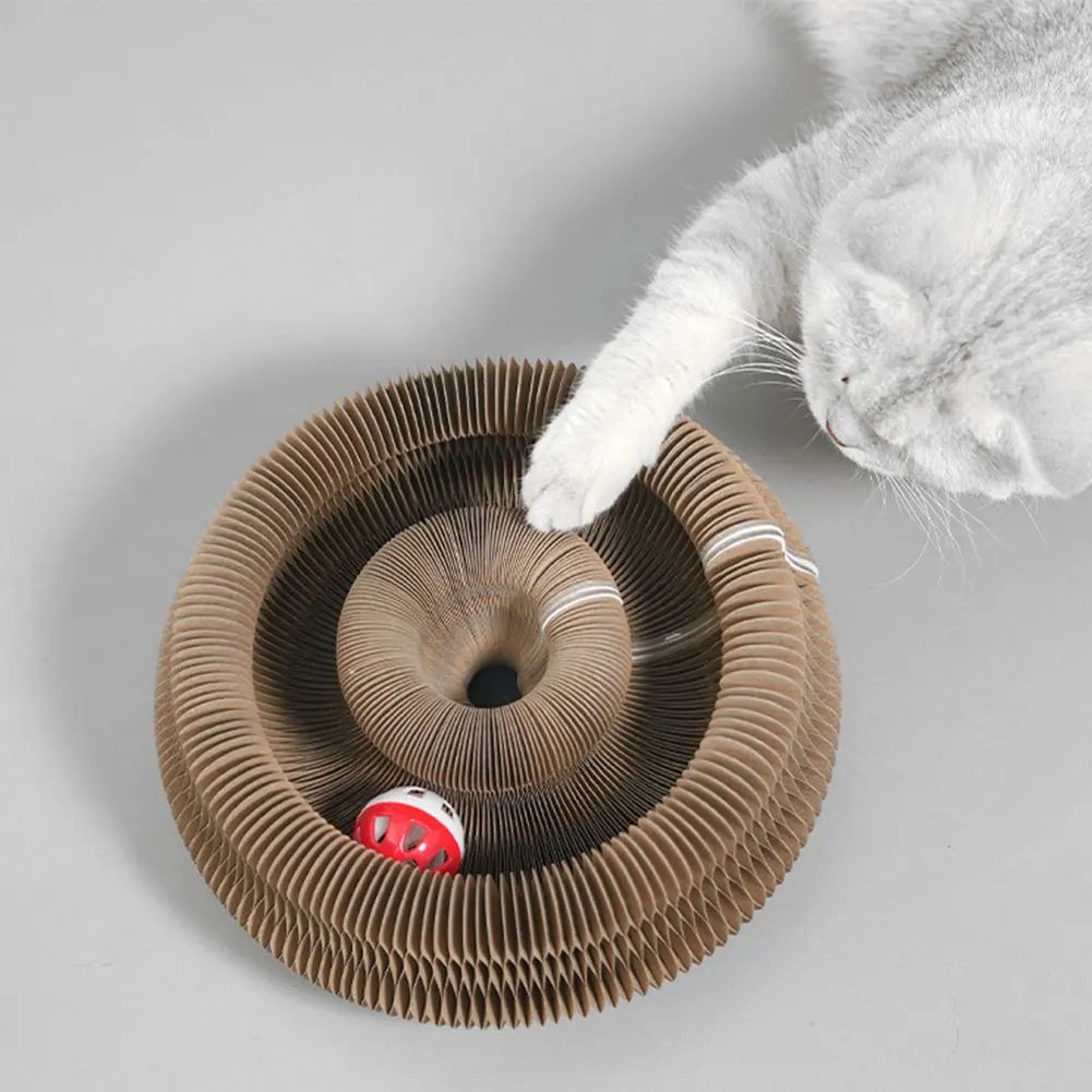 Foldable Corrugated Cat Scratching Toy Board 0