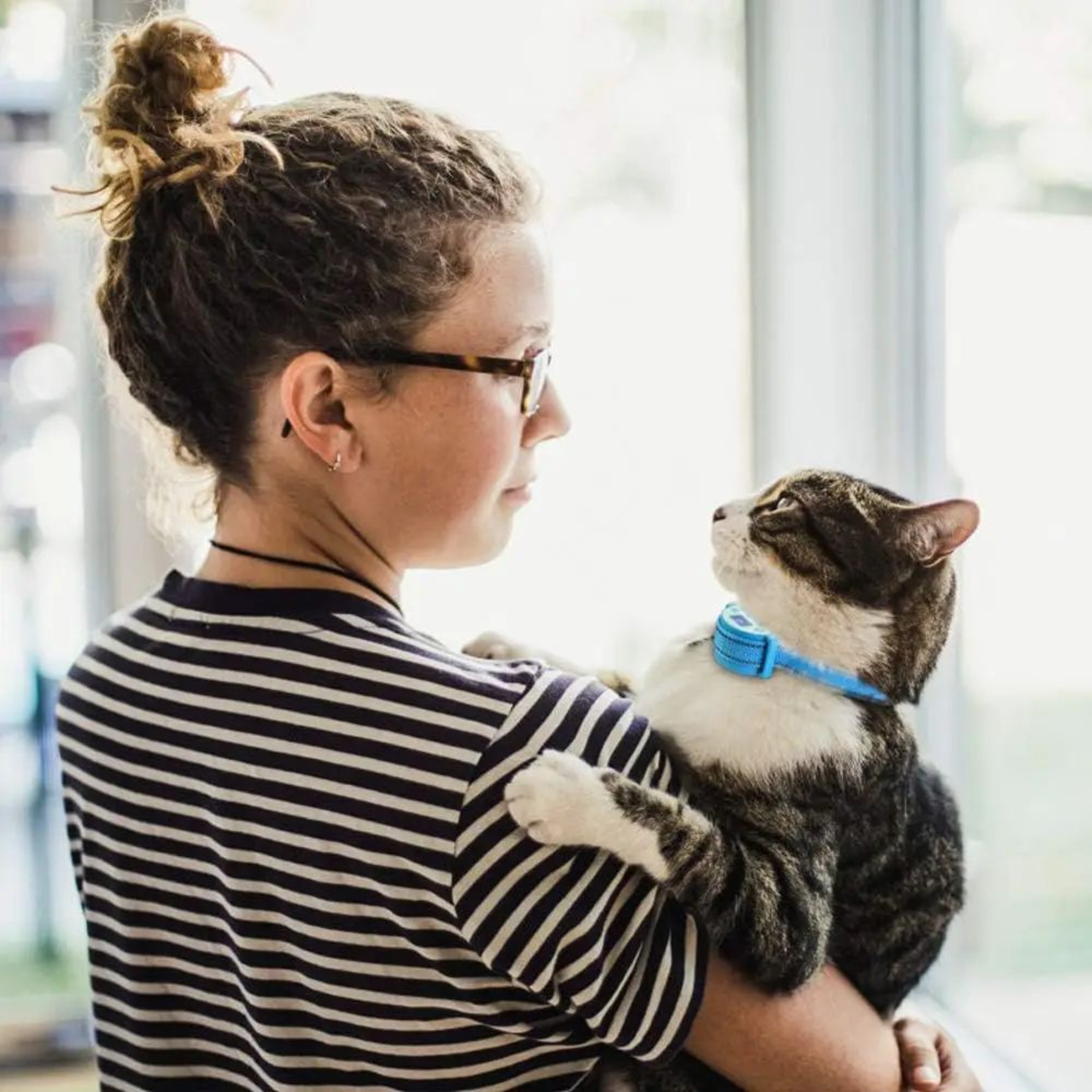 PetJoy Rechargeable Anti Meow Training Collar For Cats 6