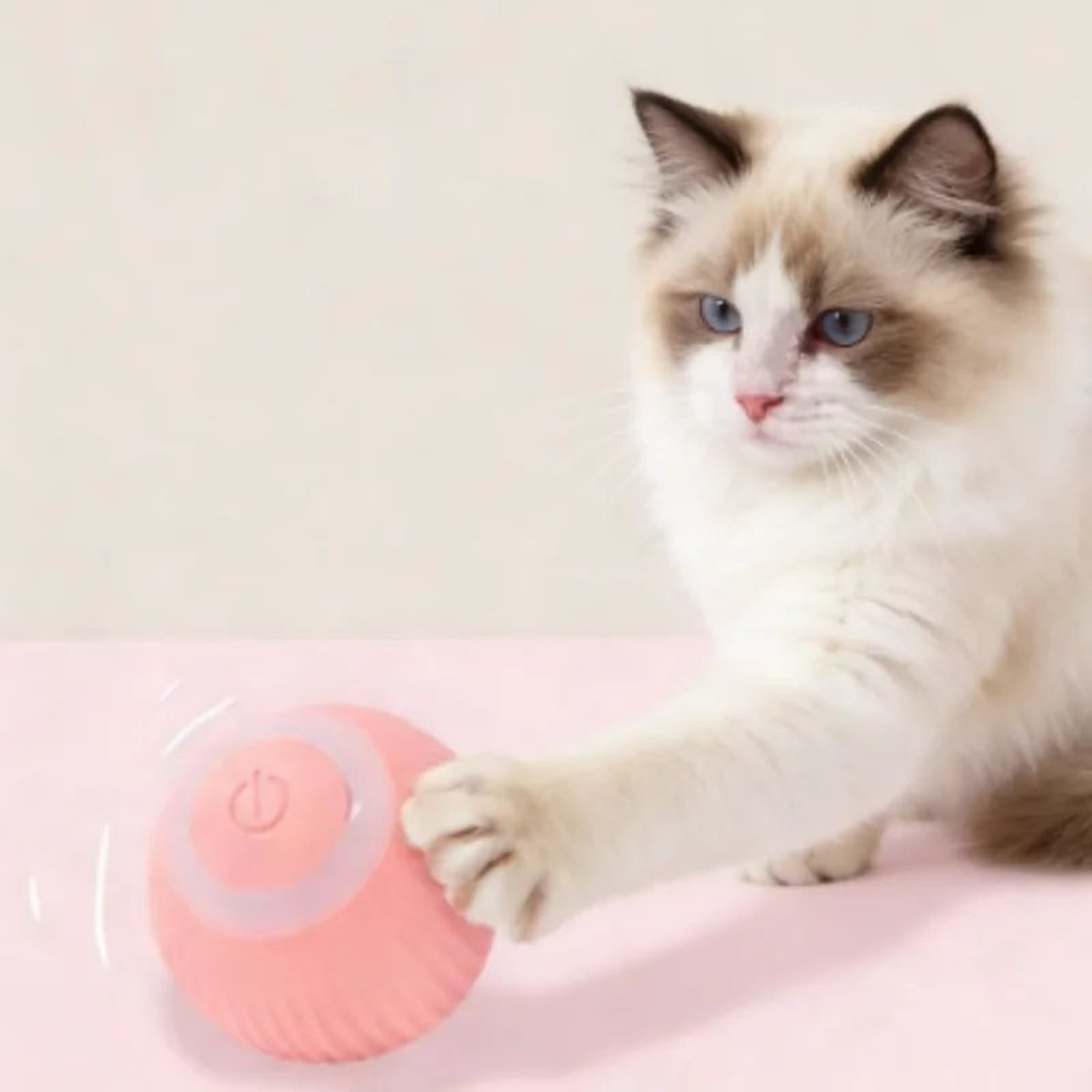 Smart Automatic Rolling Cat Ball Toy For Indoor Cats 0
